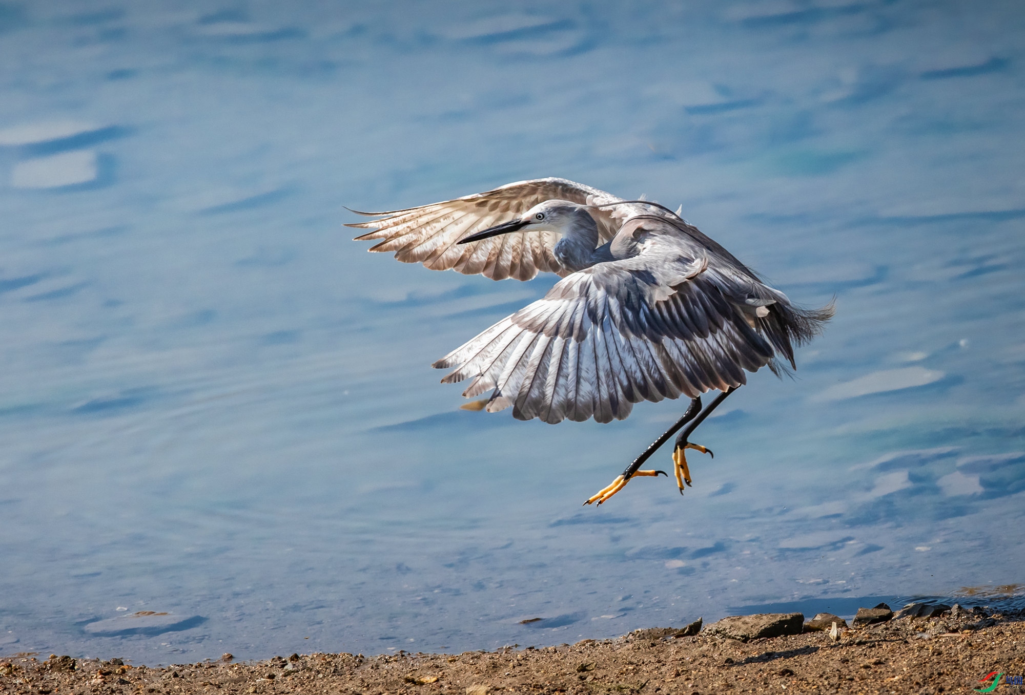 AZ4I7645 ����_����.jpg