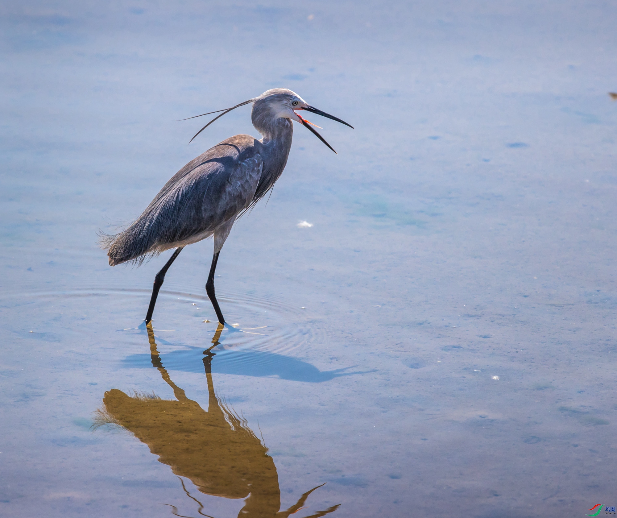 AZ4I7749 ����_����.jpg