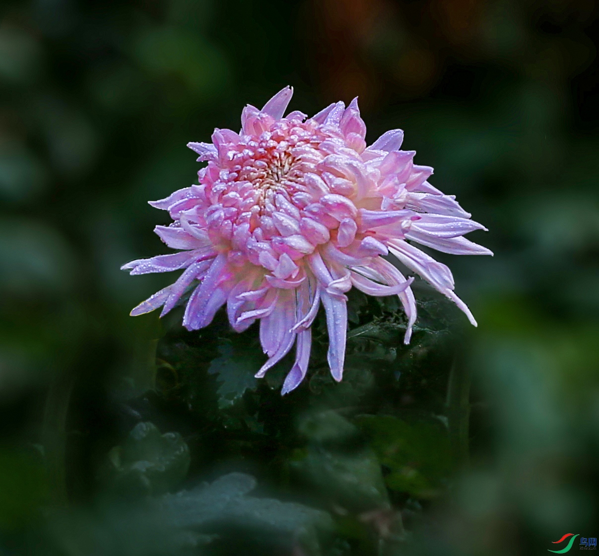 000002U9A0172 �ۺ�1000k.jpg