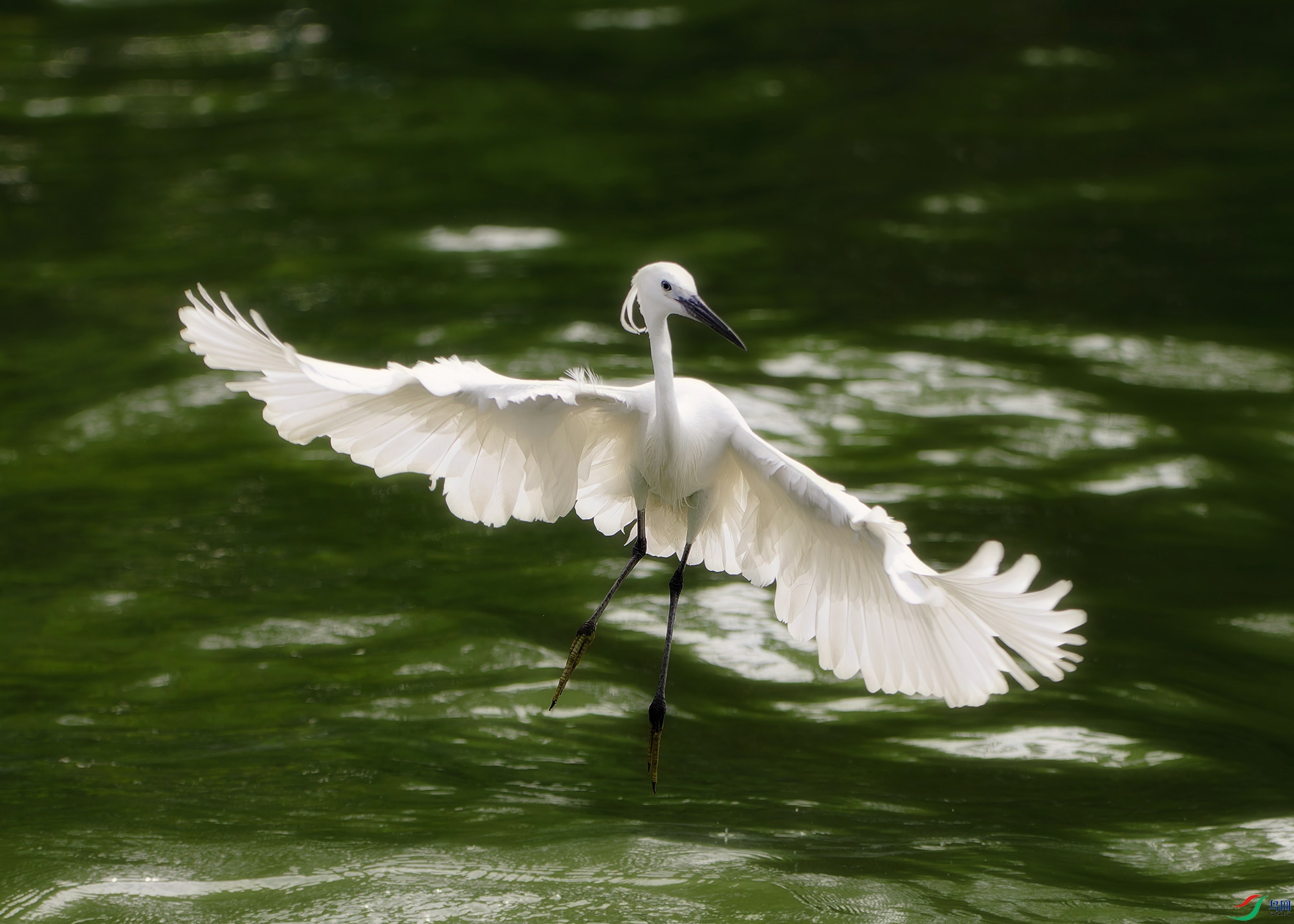 DSC_8162.jpg