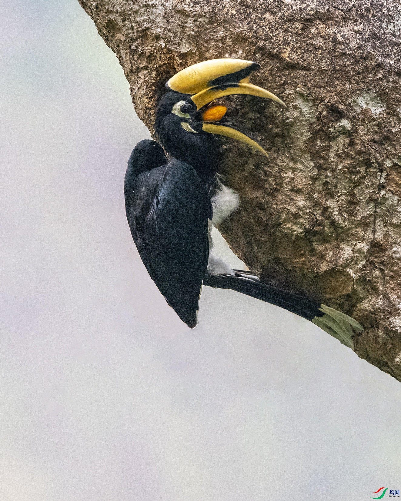 7198 ����.jpg