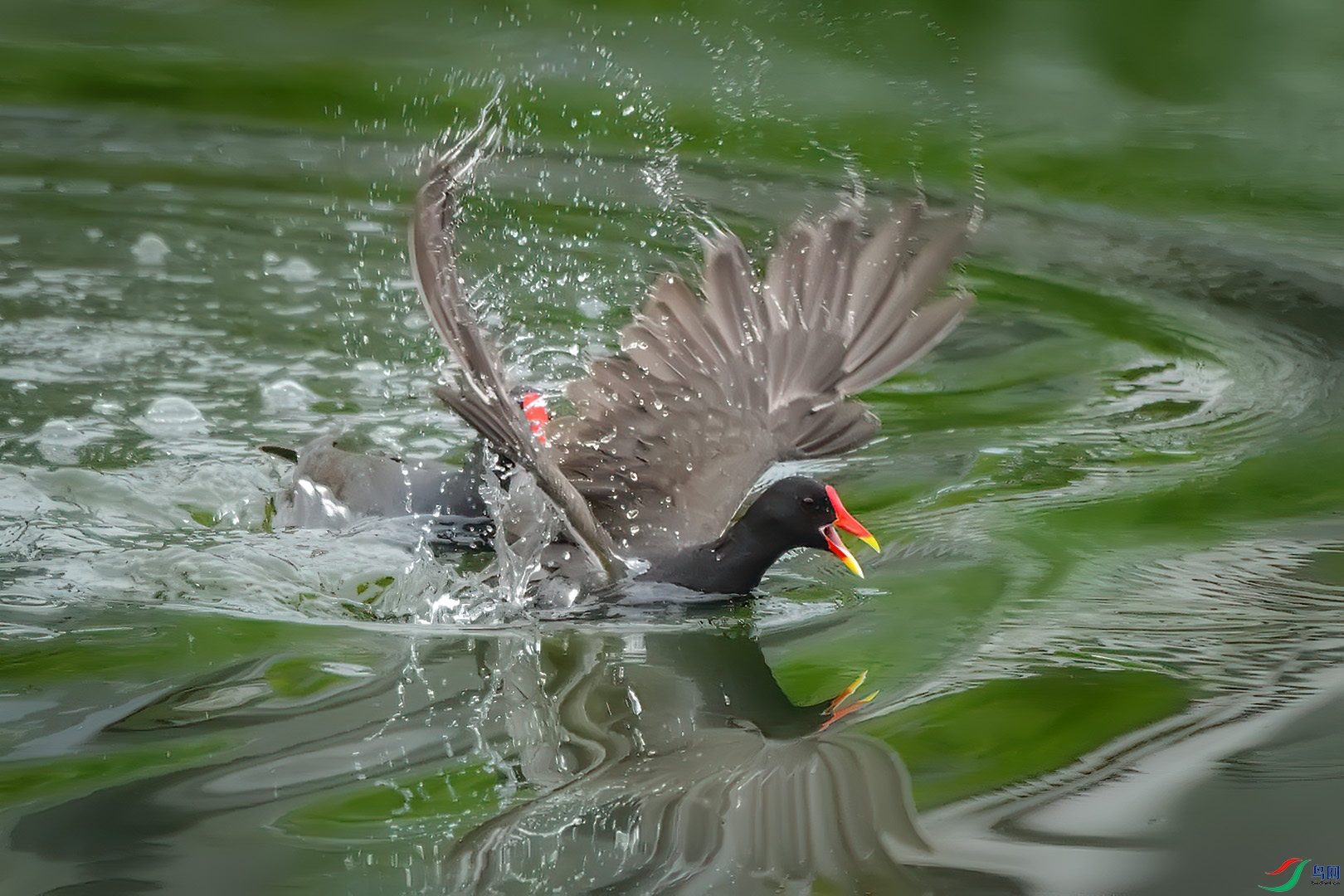 DSC_5776.jpg