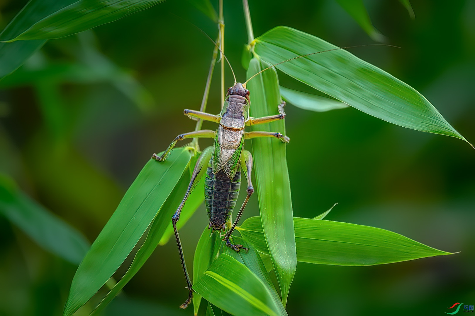 DSC_4122.jpg
