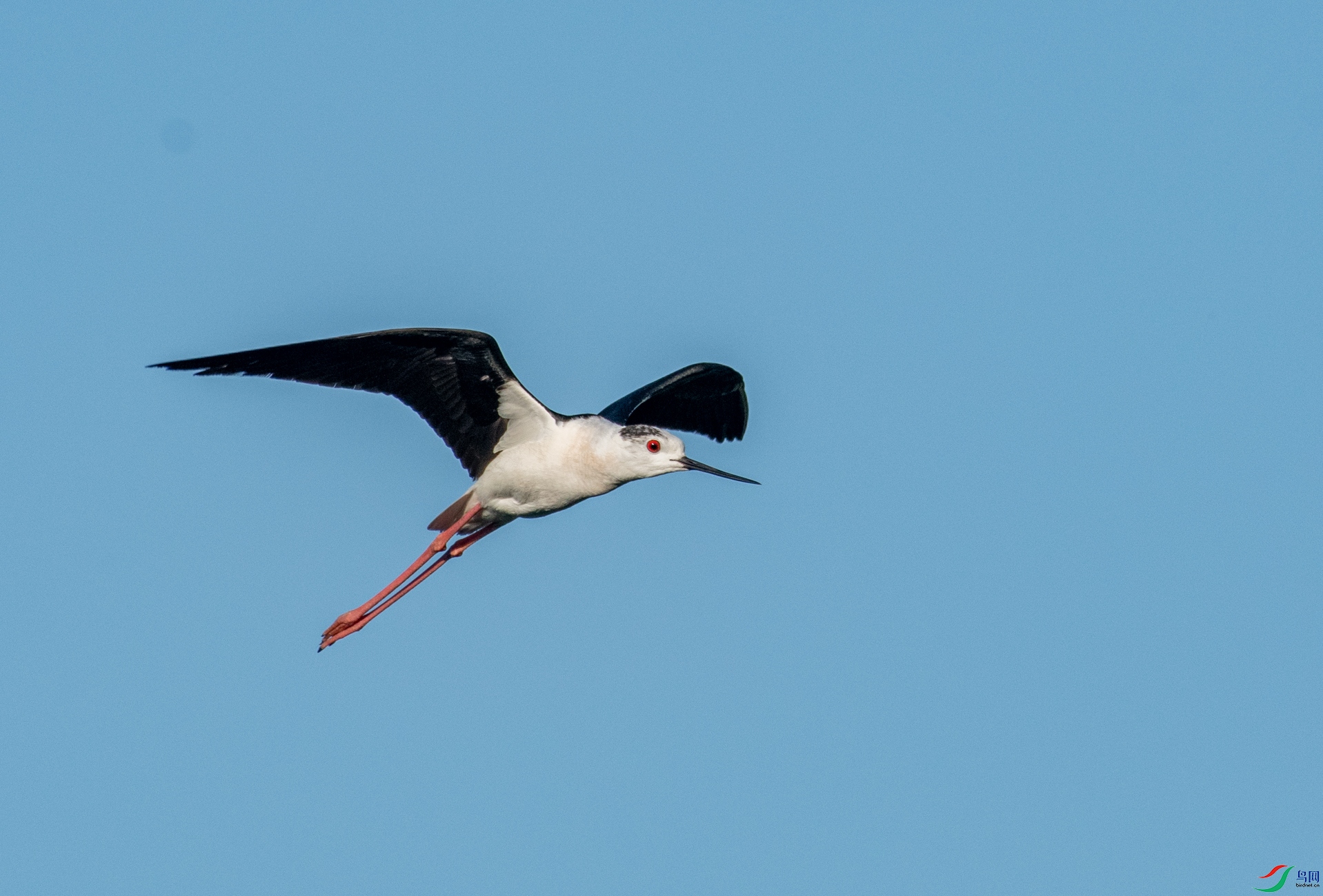 DSC_8645.jpg