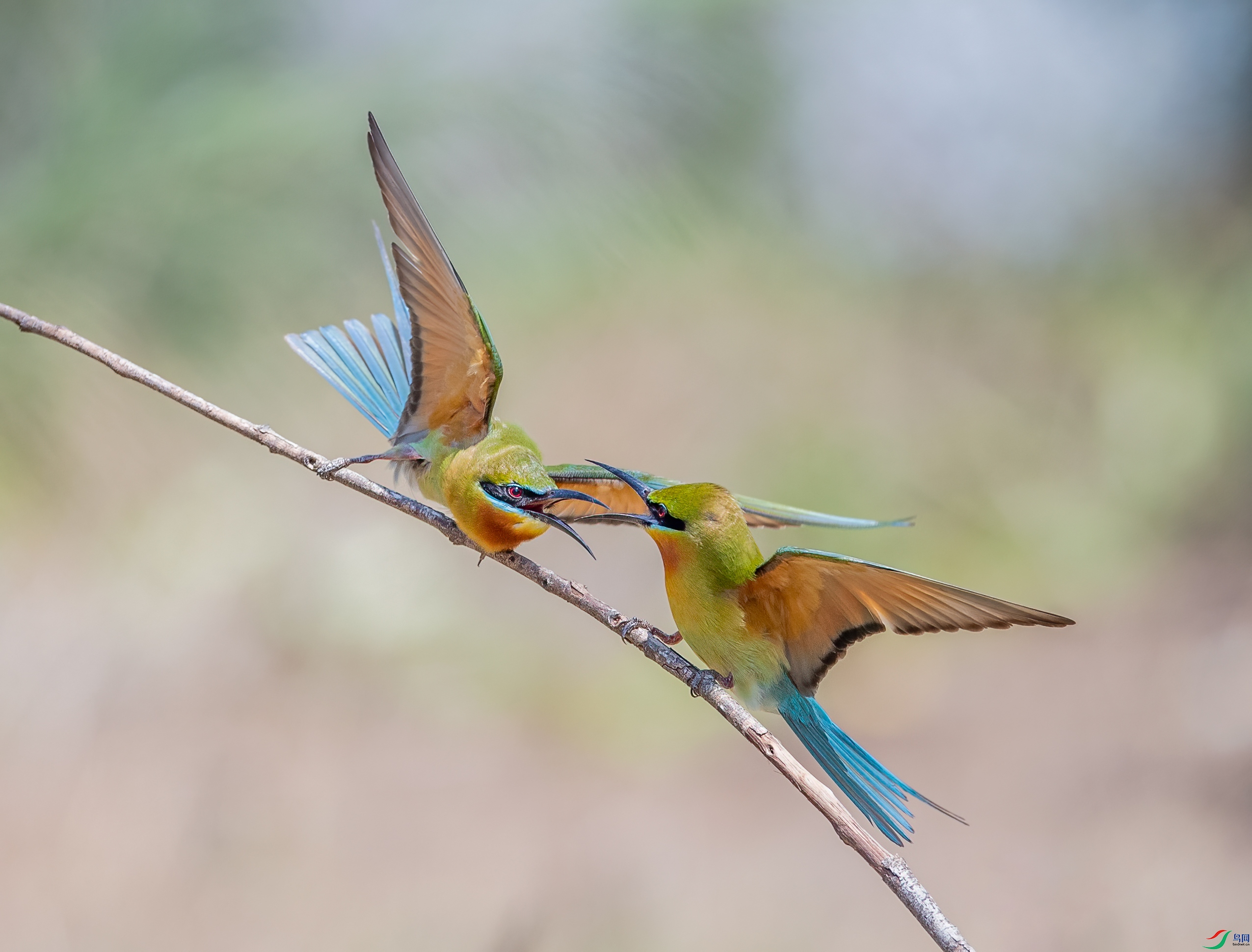 DSC_5664-1.jpg