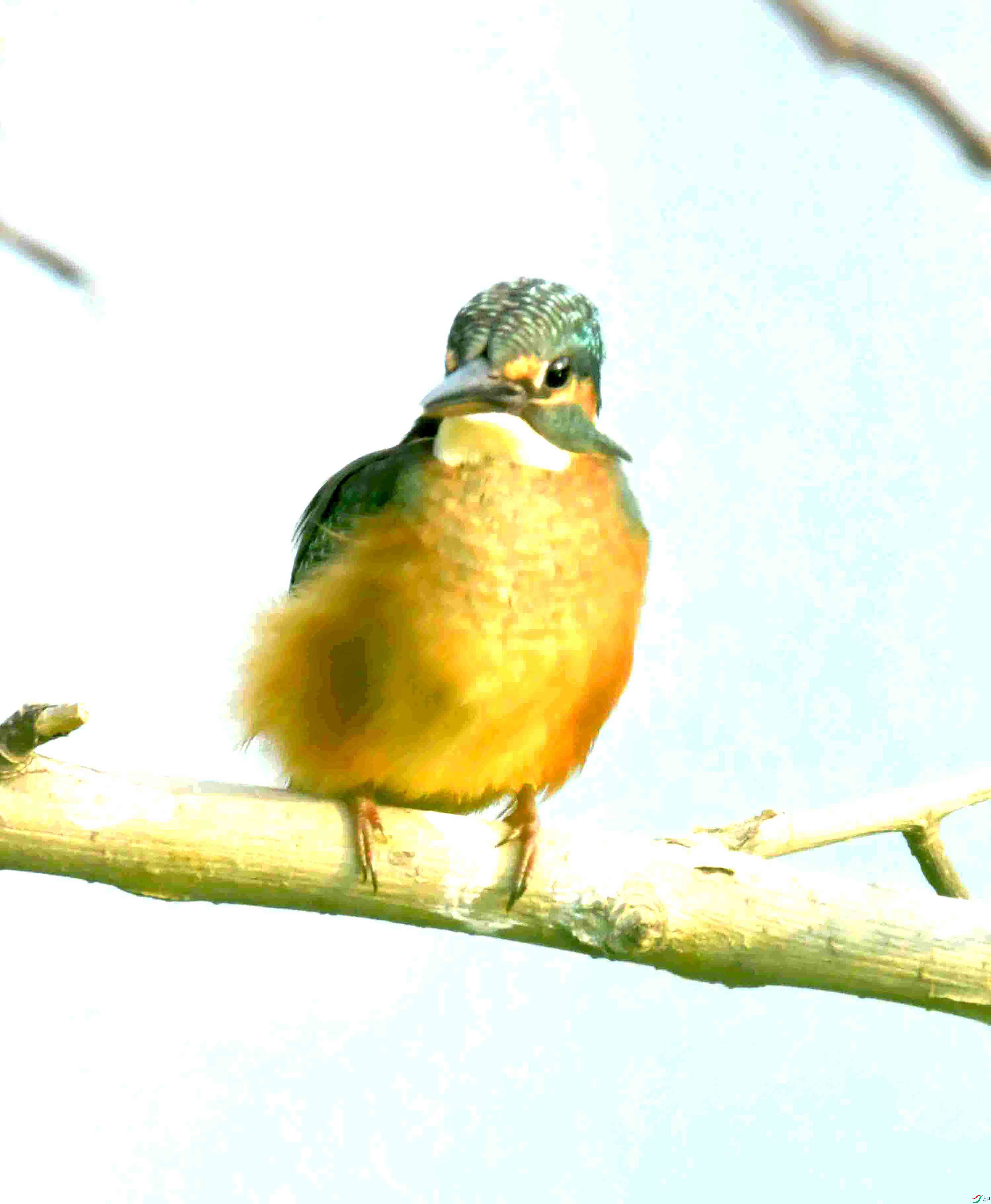 DSC_2181.JPG