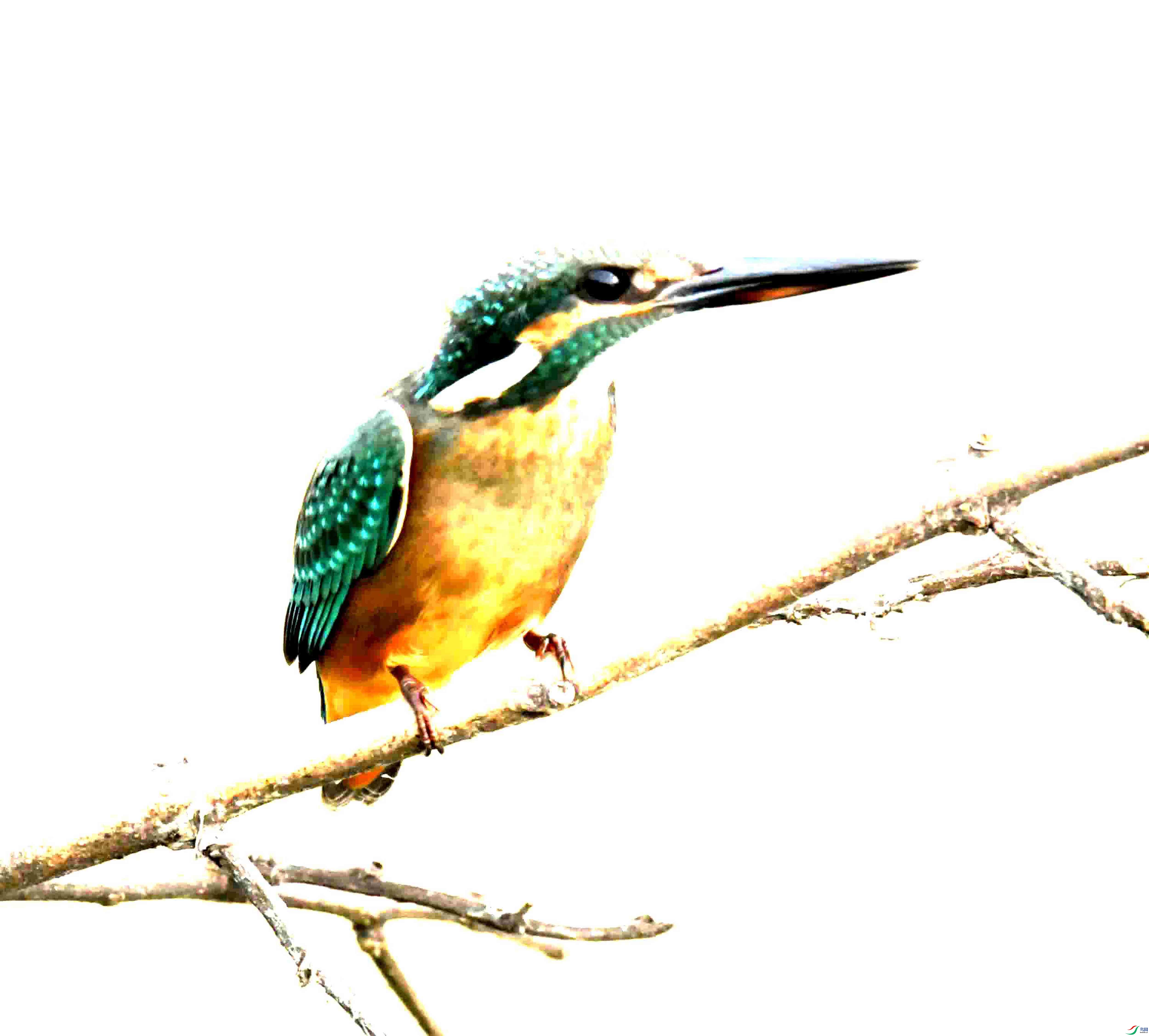 DSC_2267.JPG