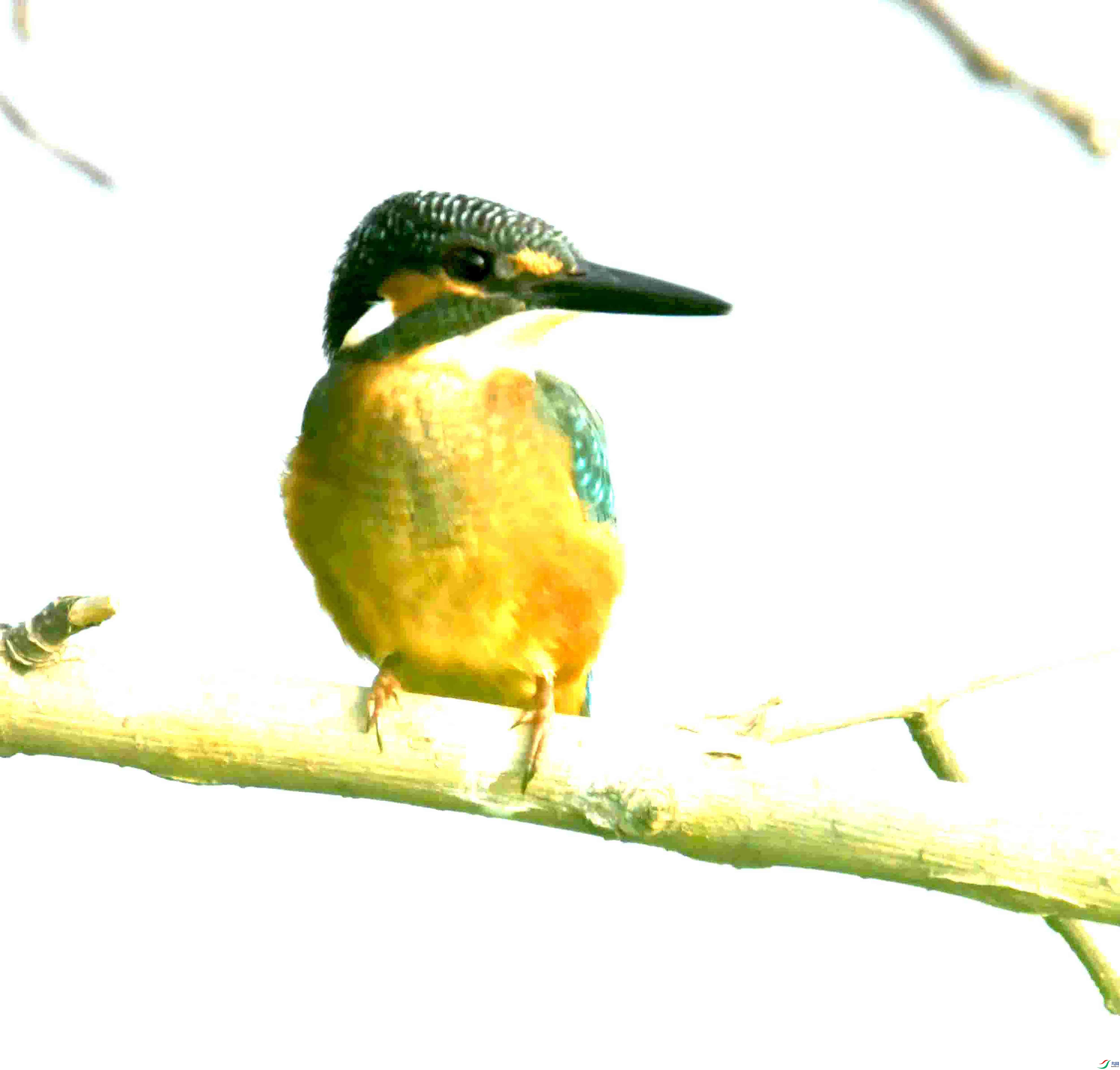 DSC_2178.JPG