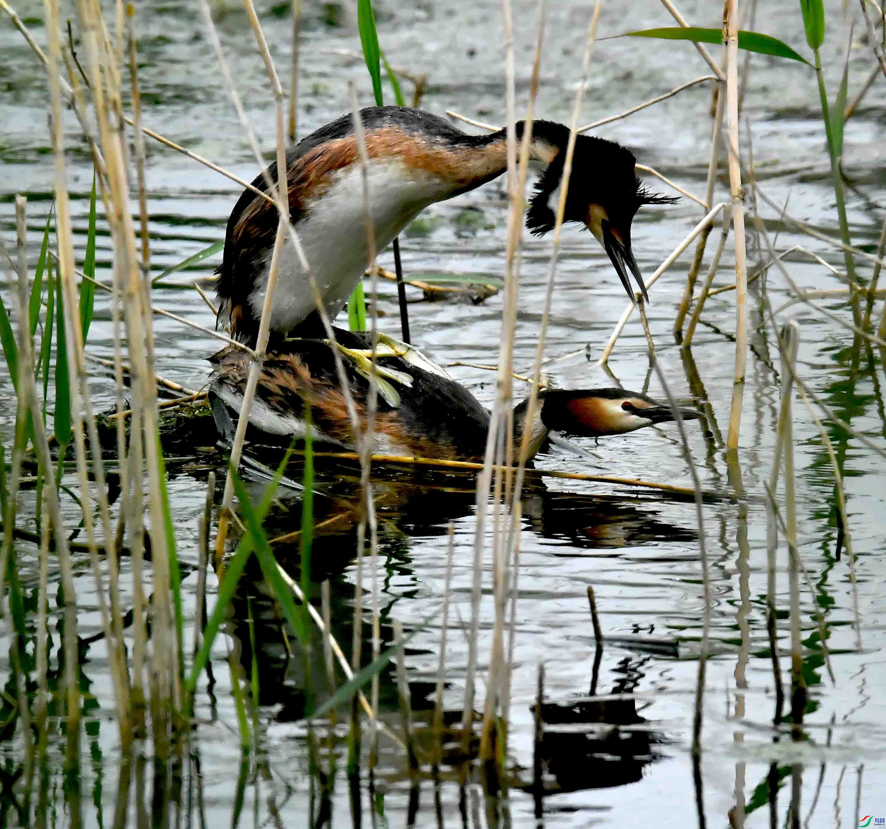 DSC_2245.JPG