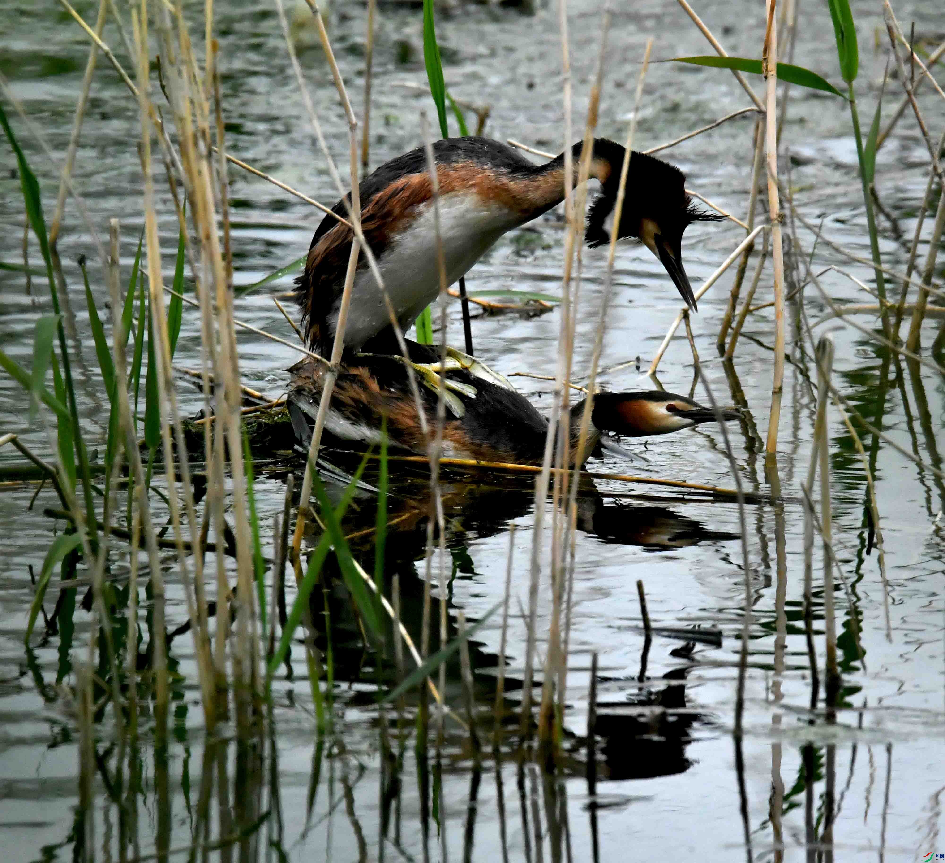 DSC_2251.JPG