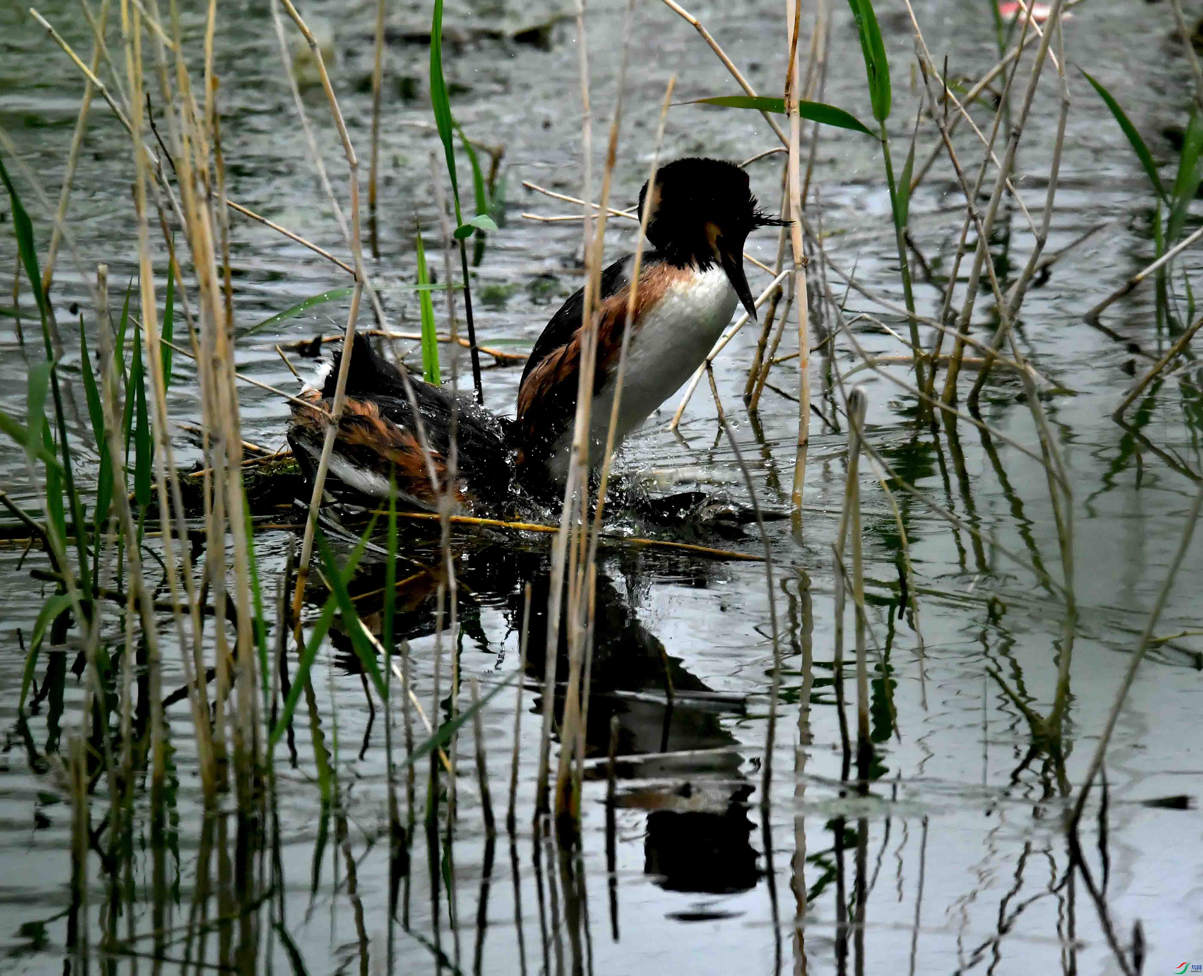 DSC_2254.JPG