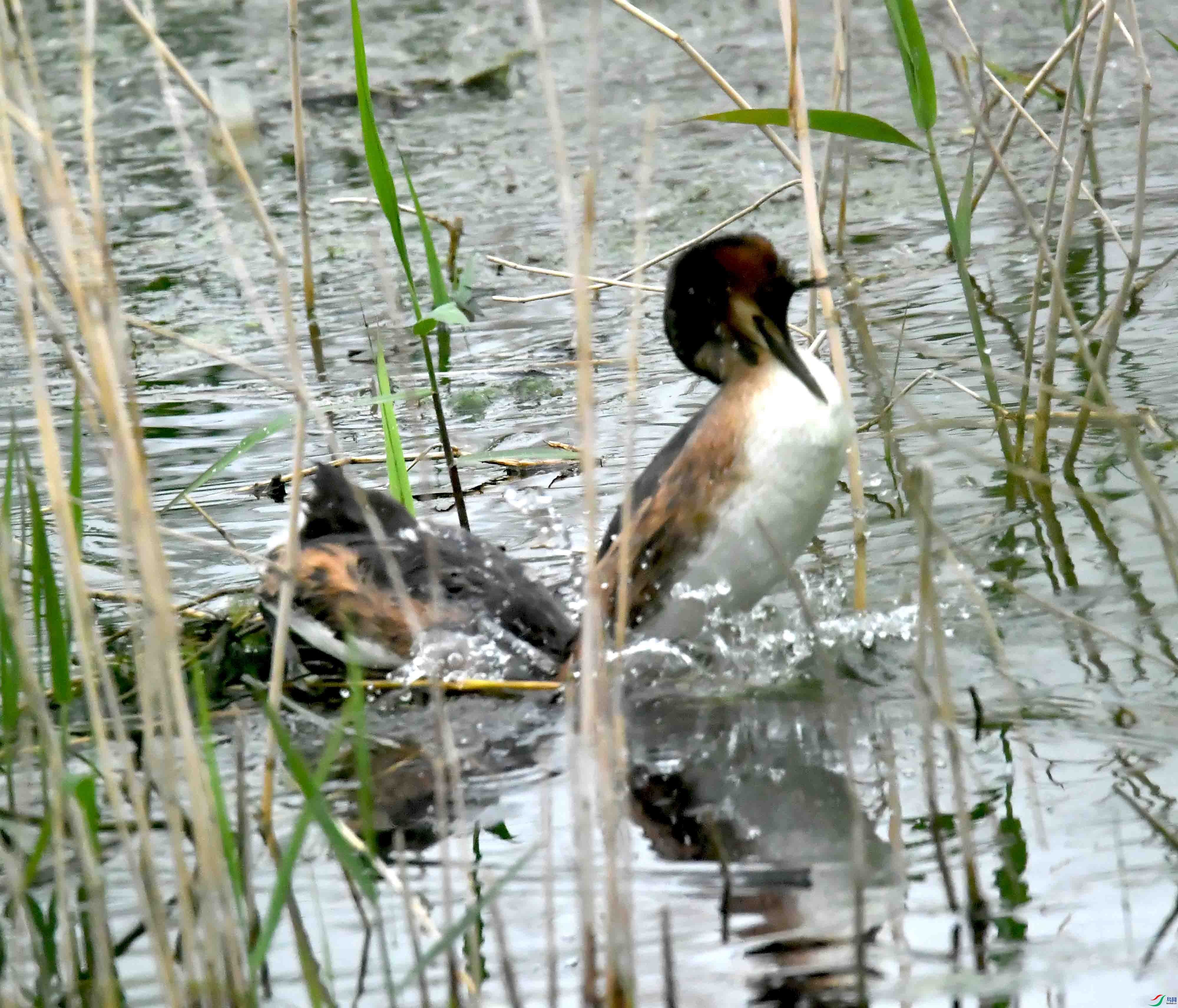 DSC_2260.JPG