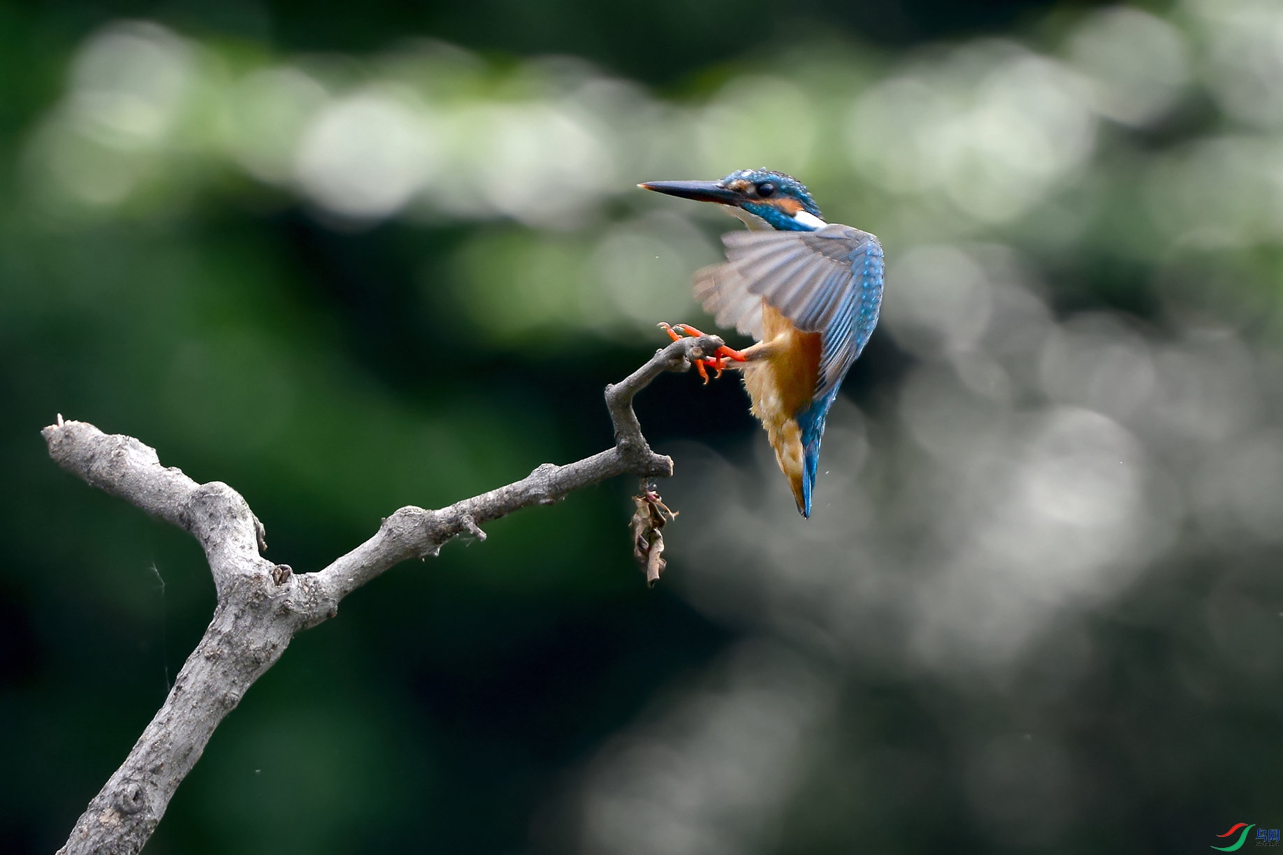 3DSC_0097_DxOa.jpg