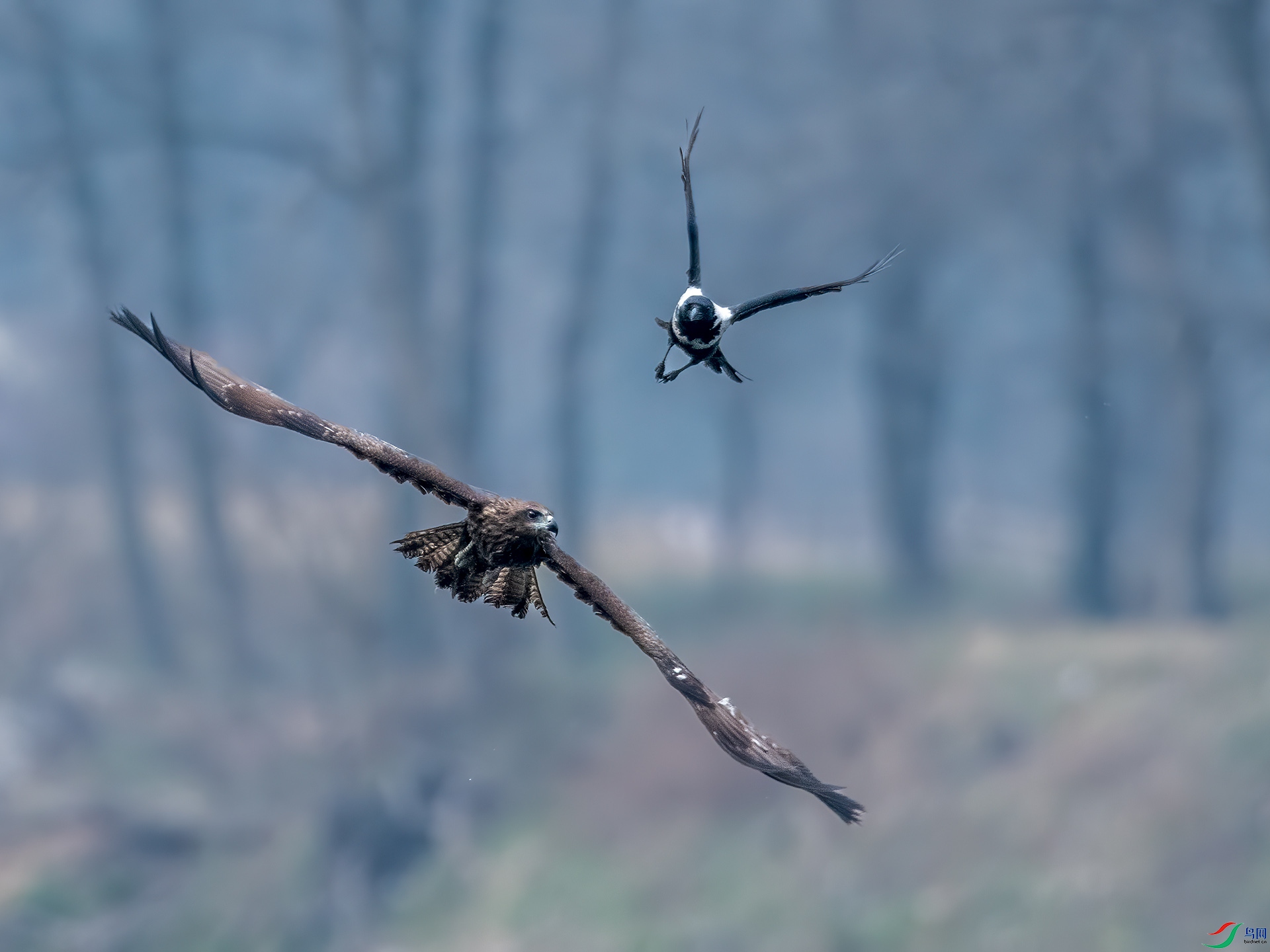 _DSC9963С.jpg
