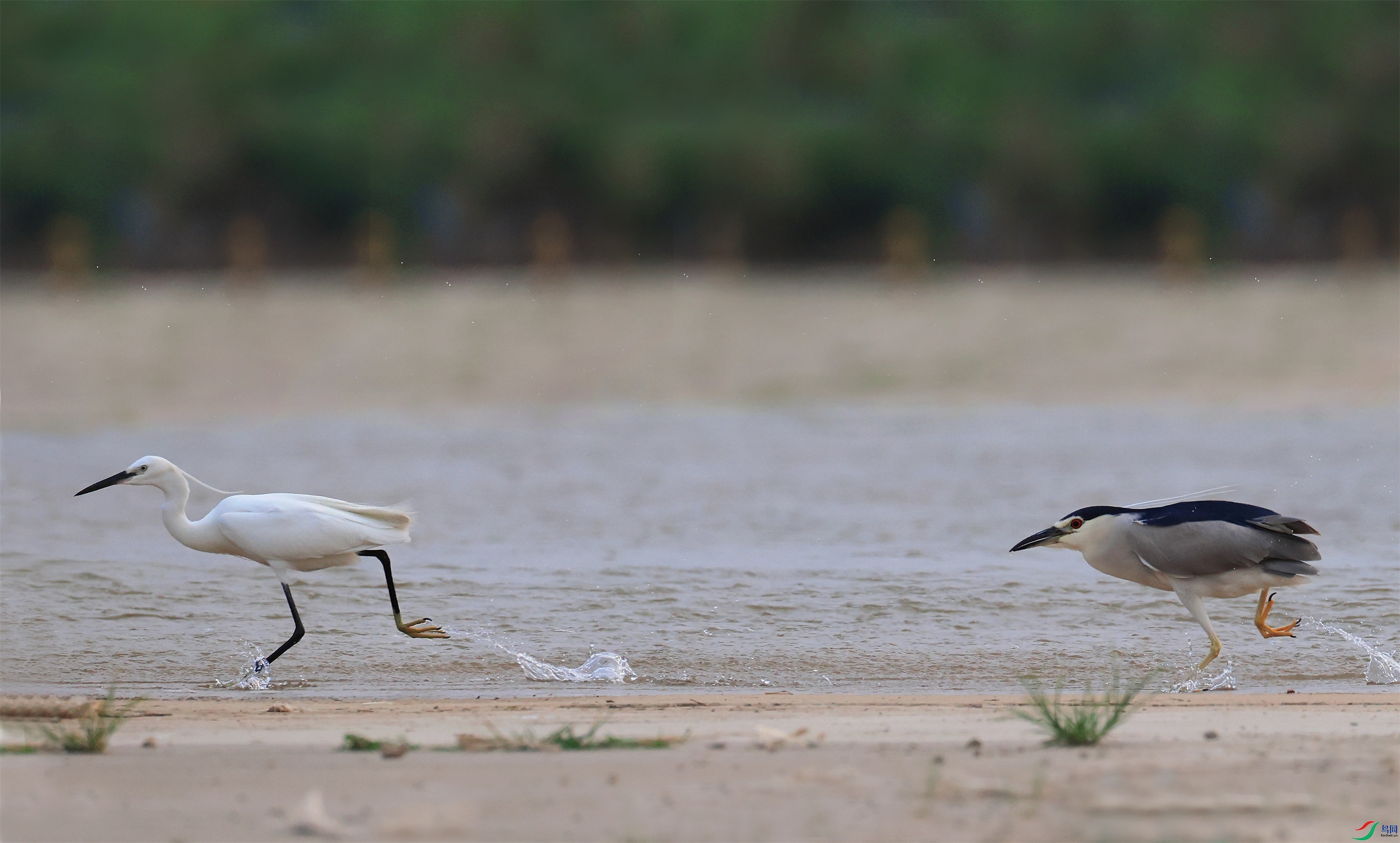 7 ���� - ���� (4).jpg