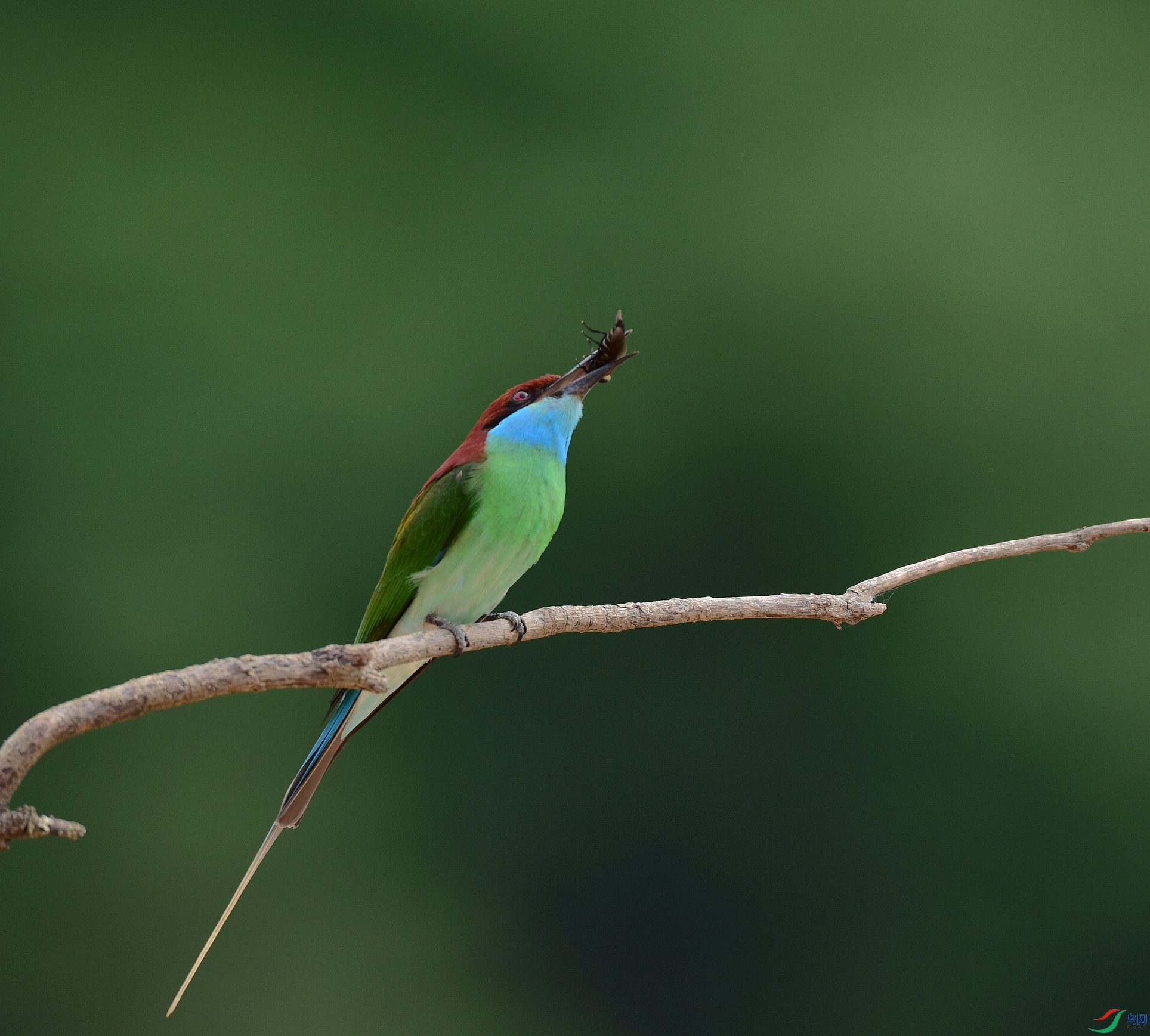 D8I_3863.jpg