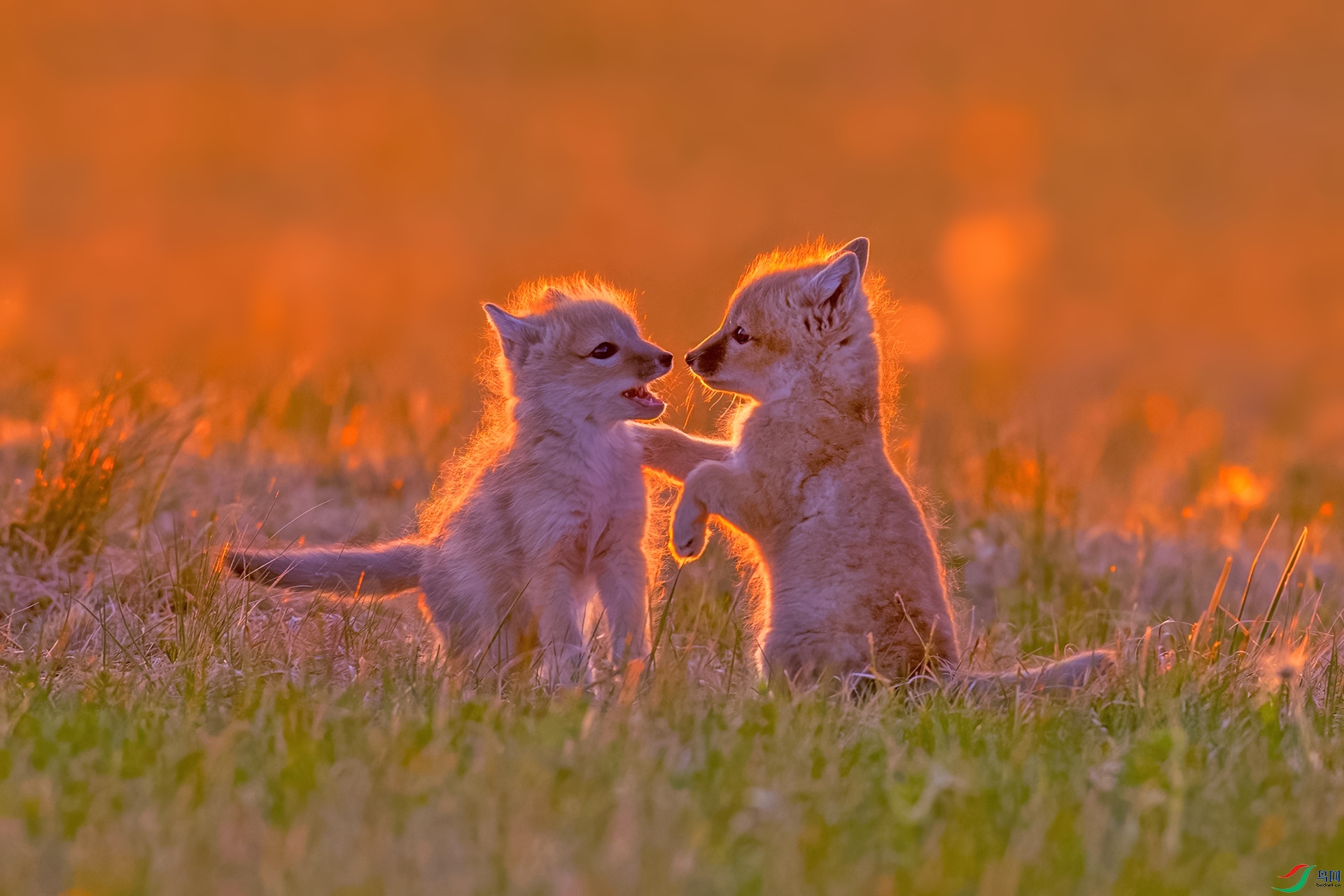 ɳ��746ɳ���ֵ�.jpg