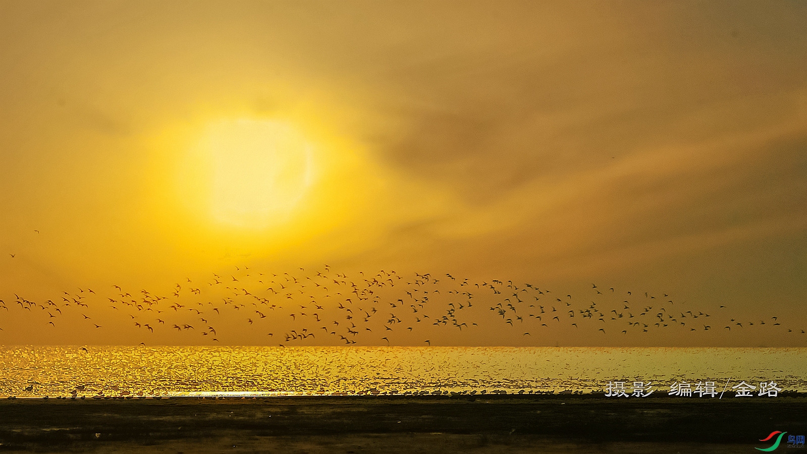 James Last - A Morning In Cornwall.00_00_04_16.Still001_����.jpg