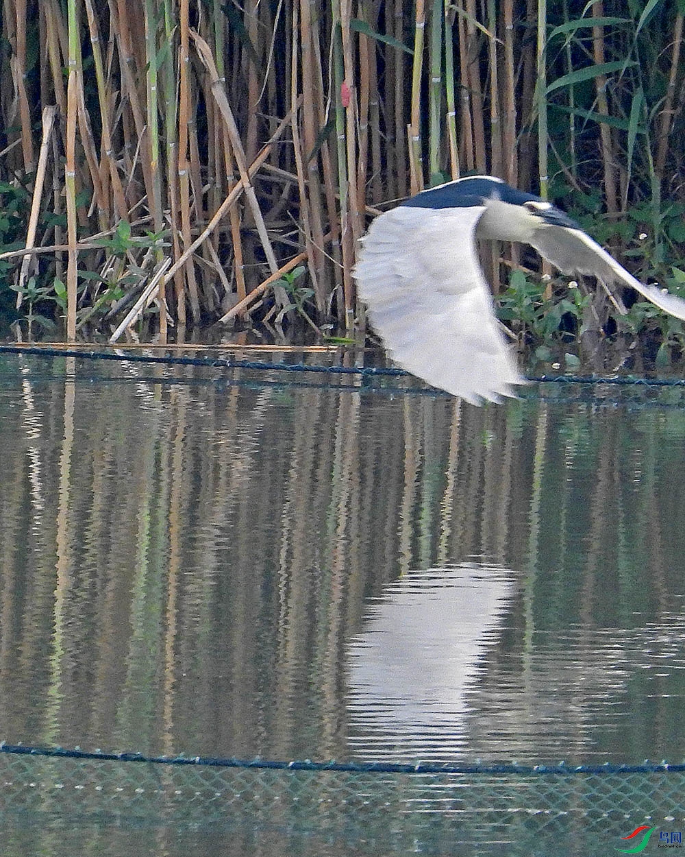 DSCN6705.jpg