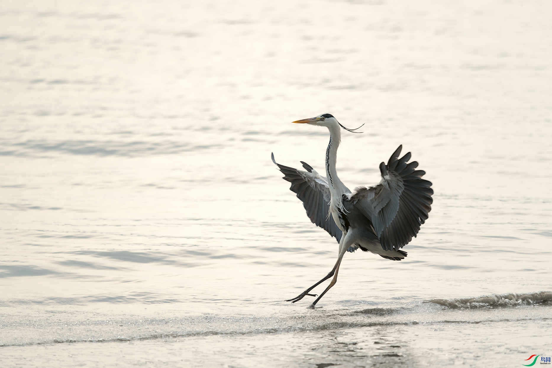 DSC_9207_DxOa.jpg