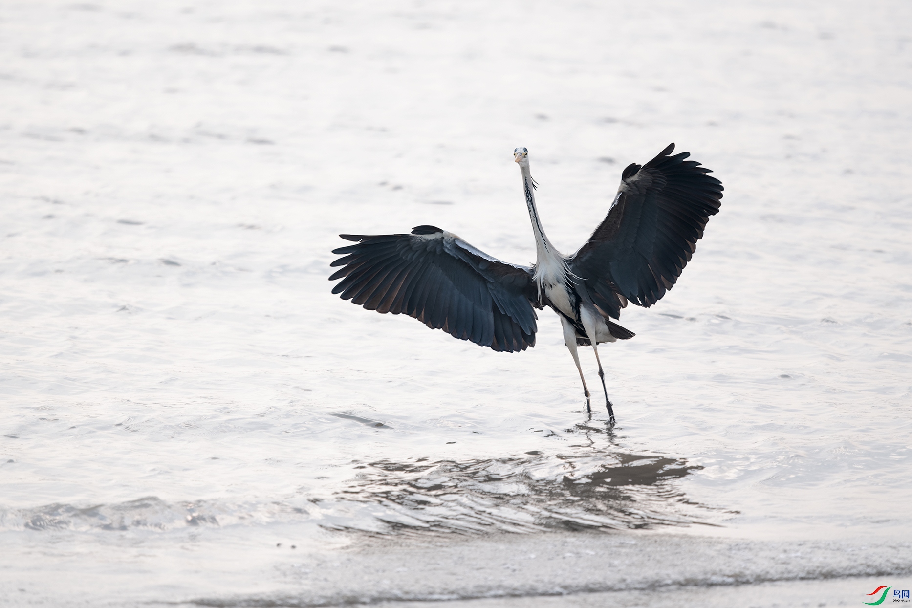 DSC_9210_DxOa.jpg