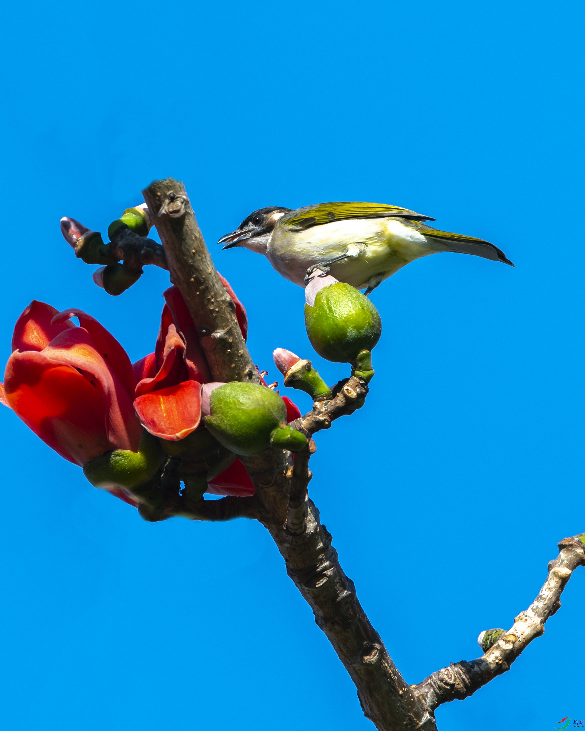 8861 ����.jpg