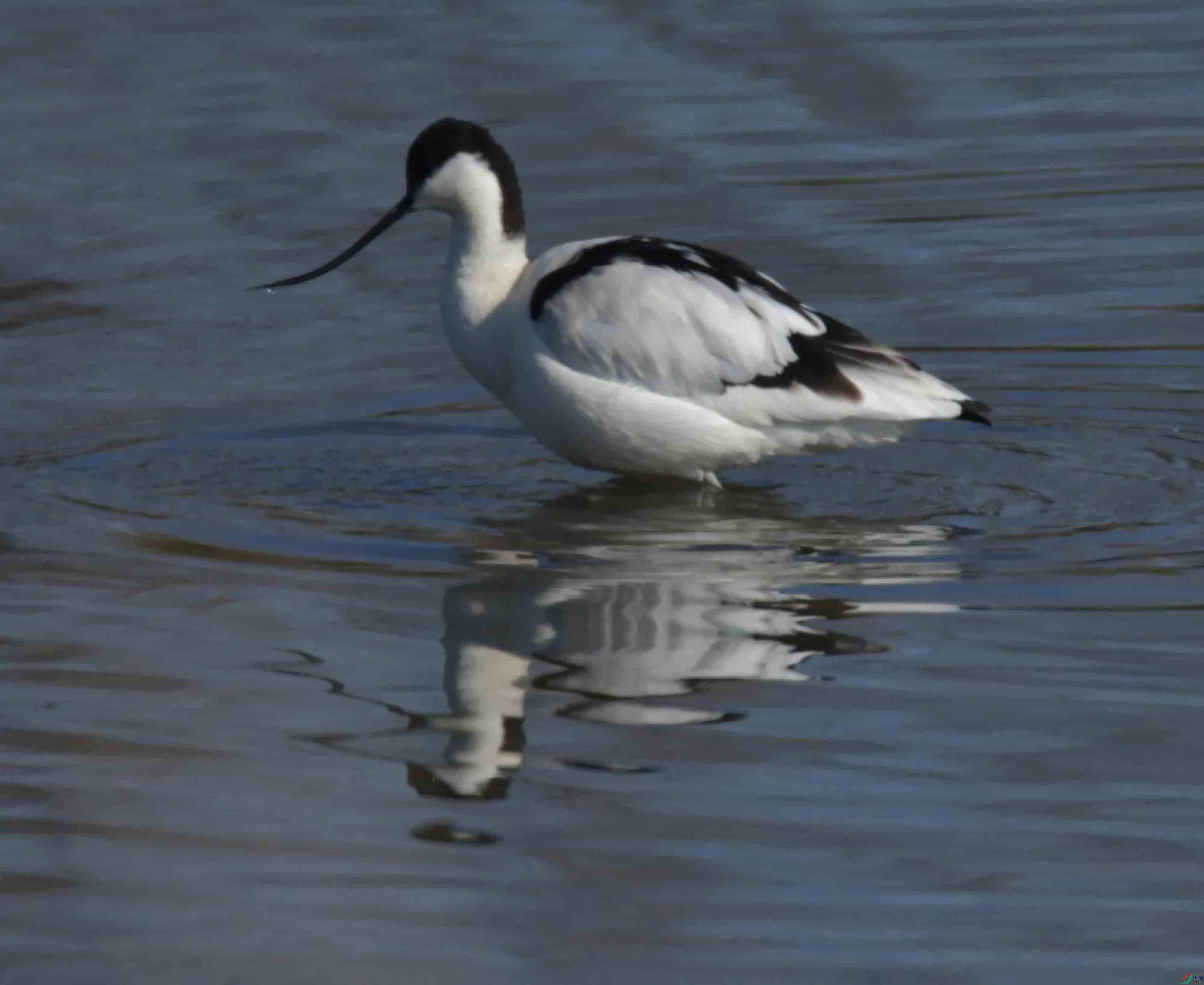 DSC_4921.JPG