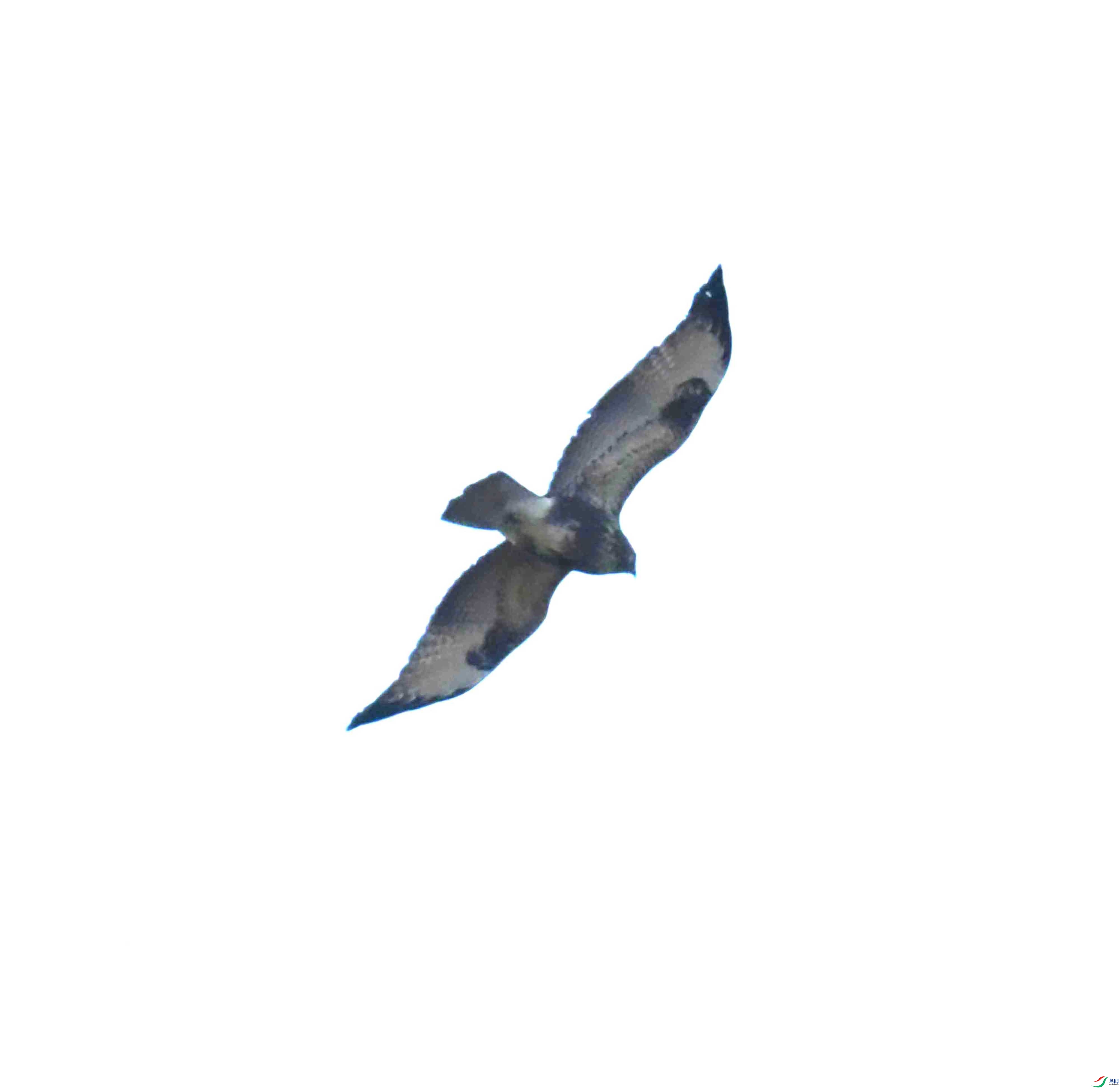 DSC_1072.JPG