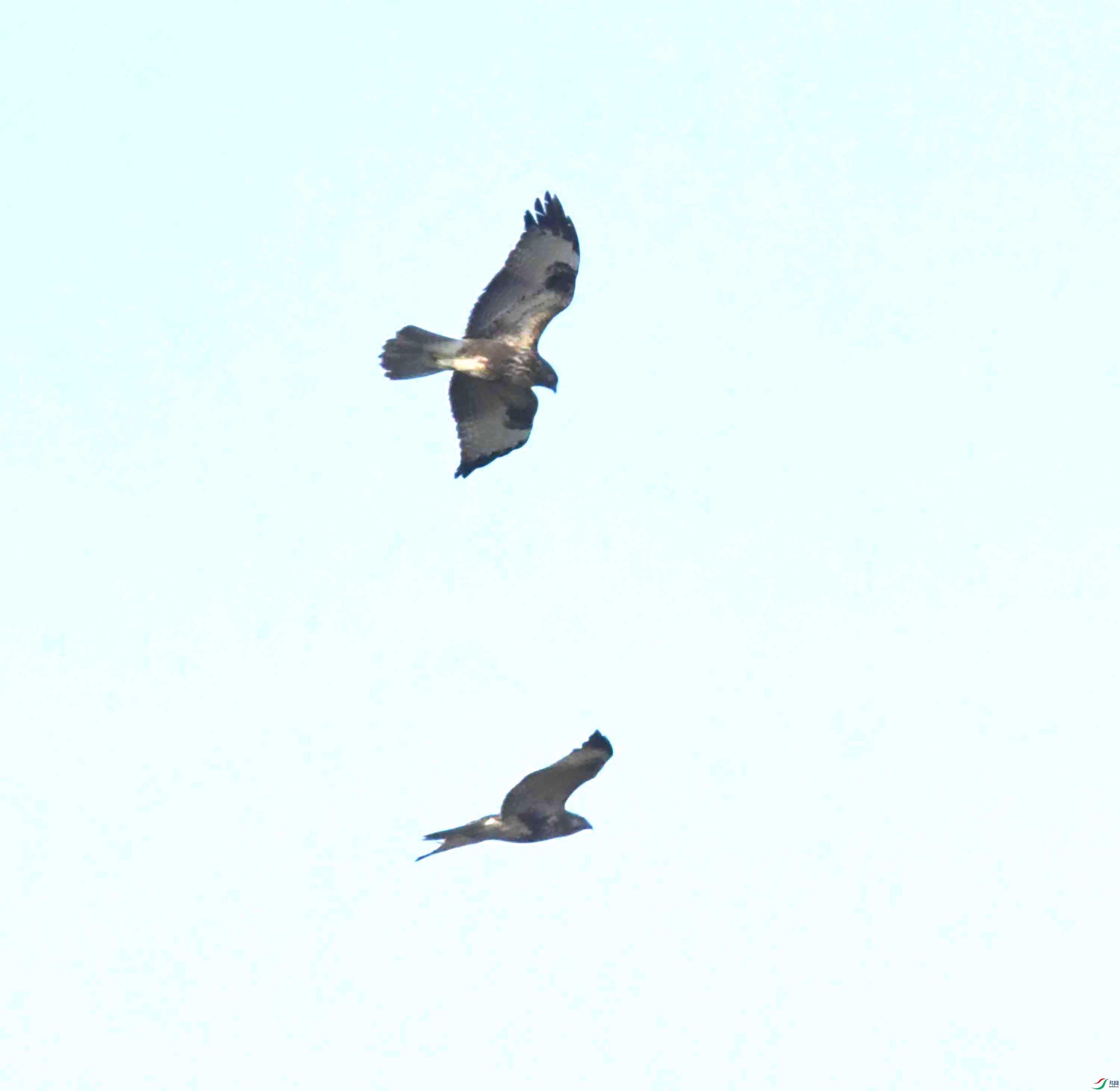 DSC_1078.JPG