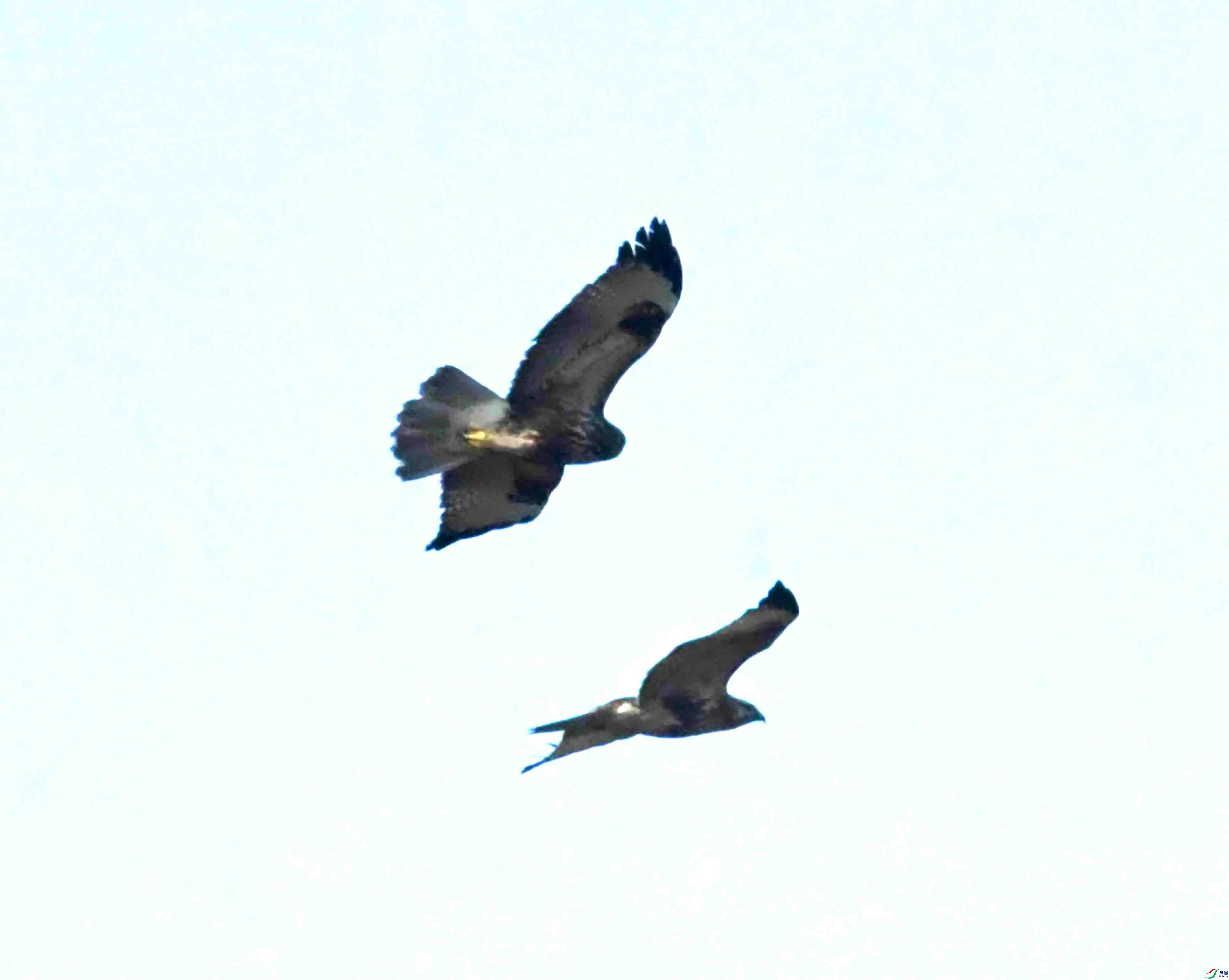 DSC_1080.JPG