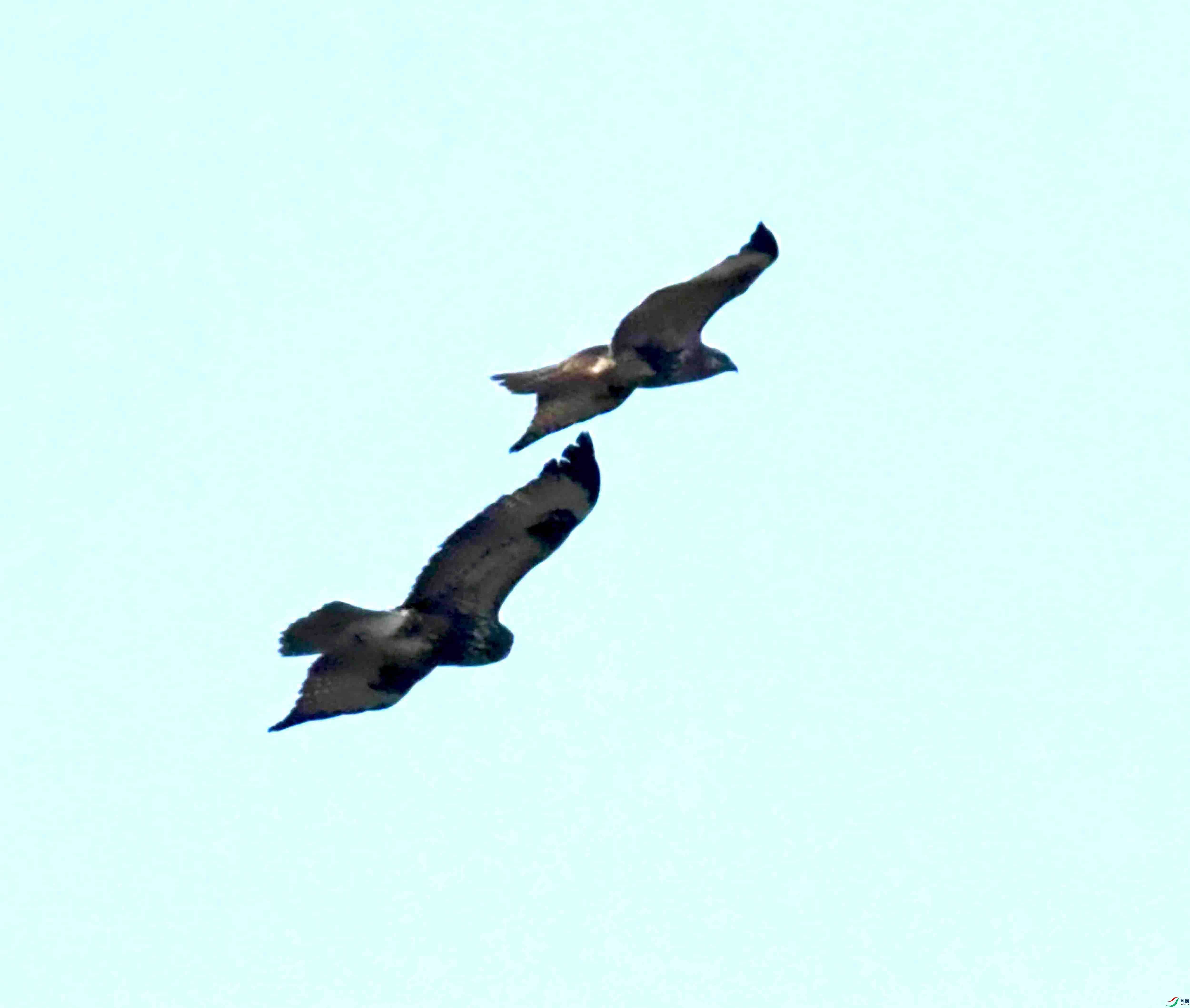 DSC_1082.JPG