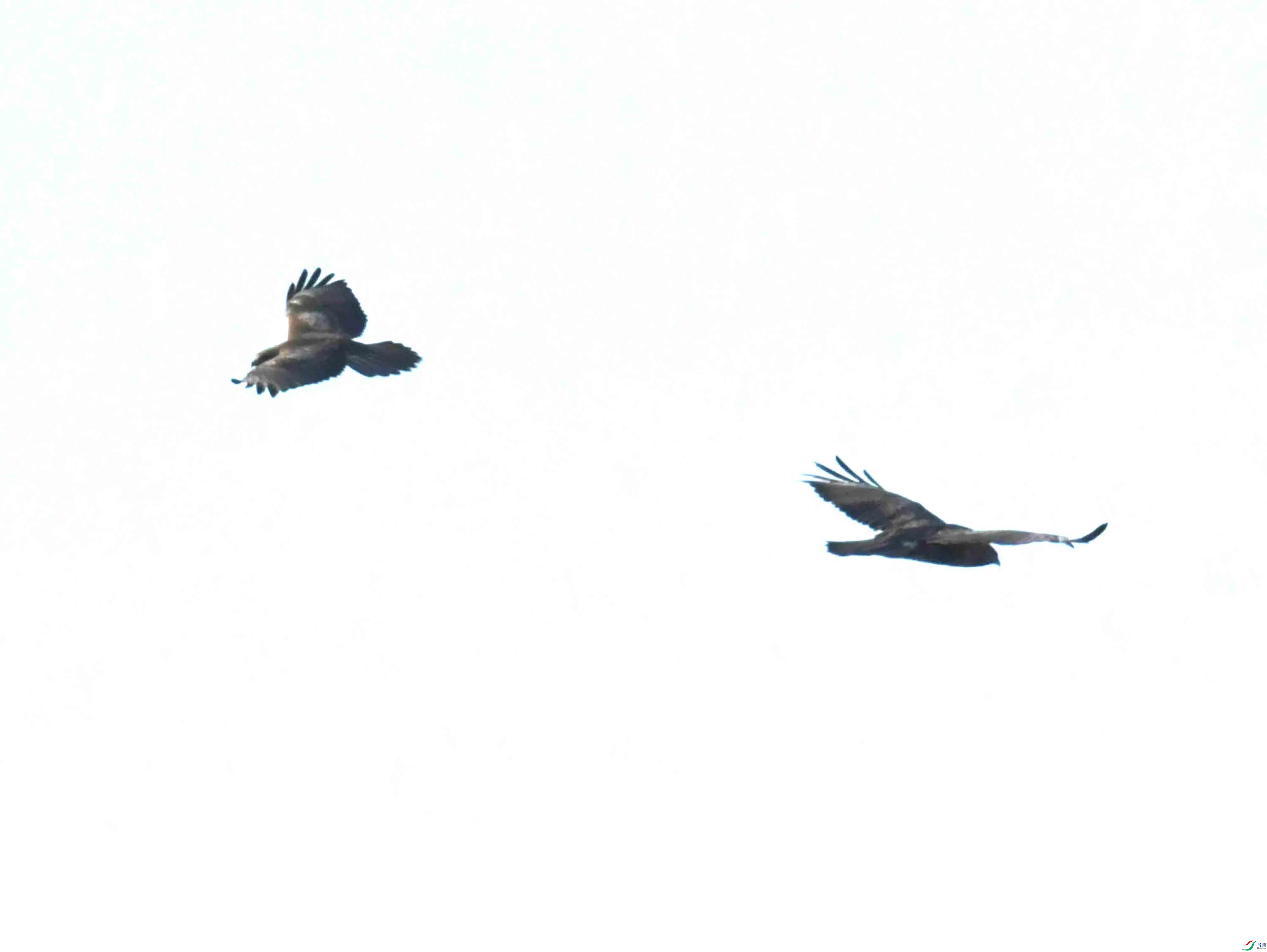 DSC_1090.JPG