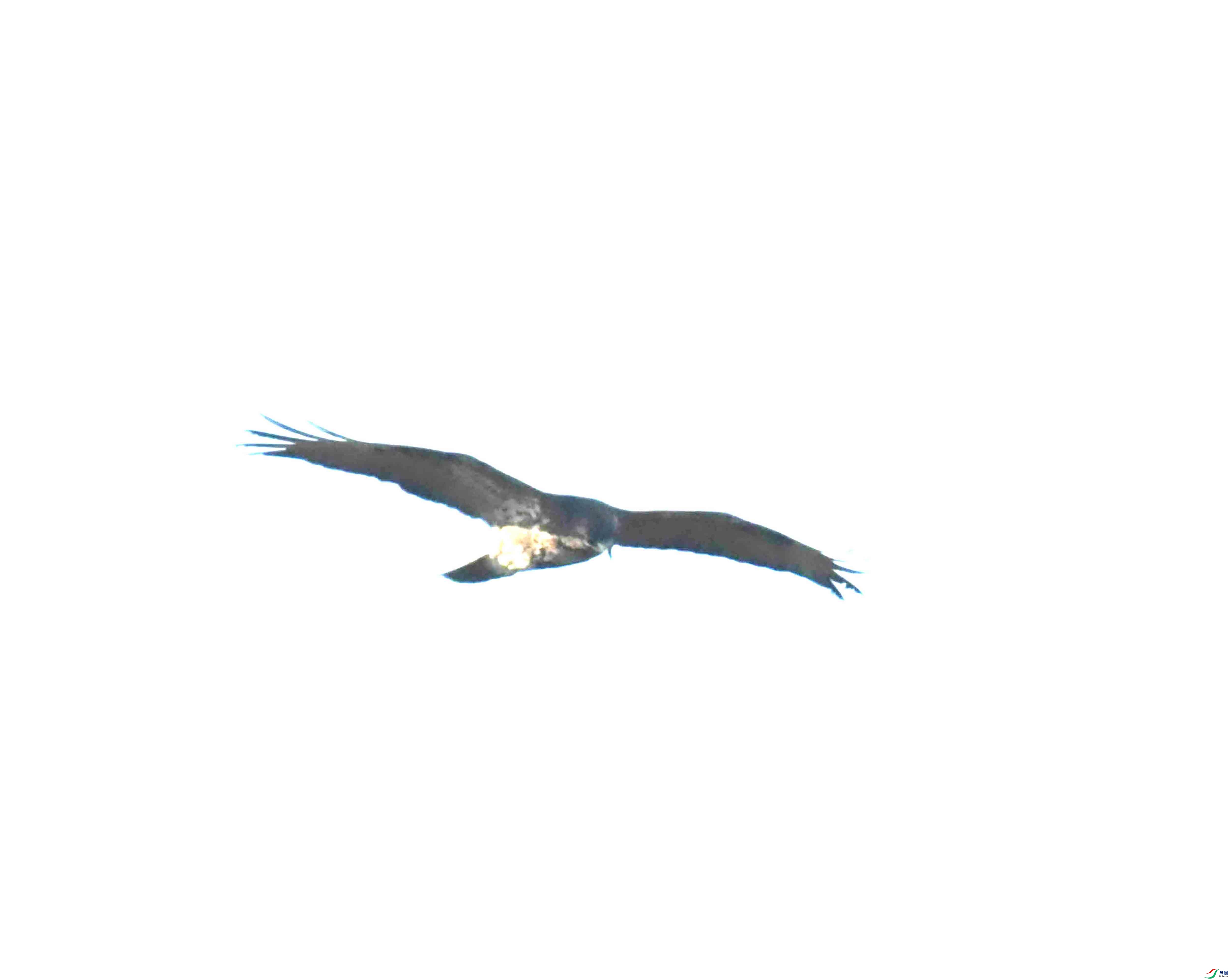 DSC_1096.JPG