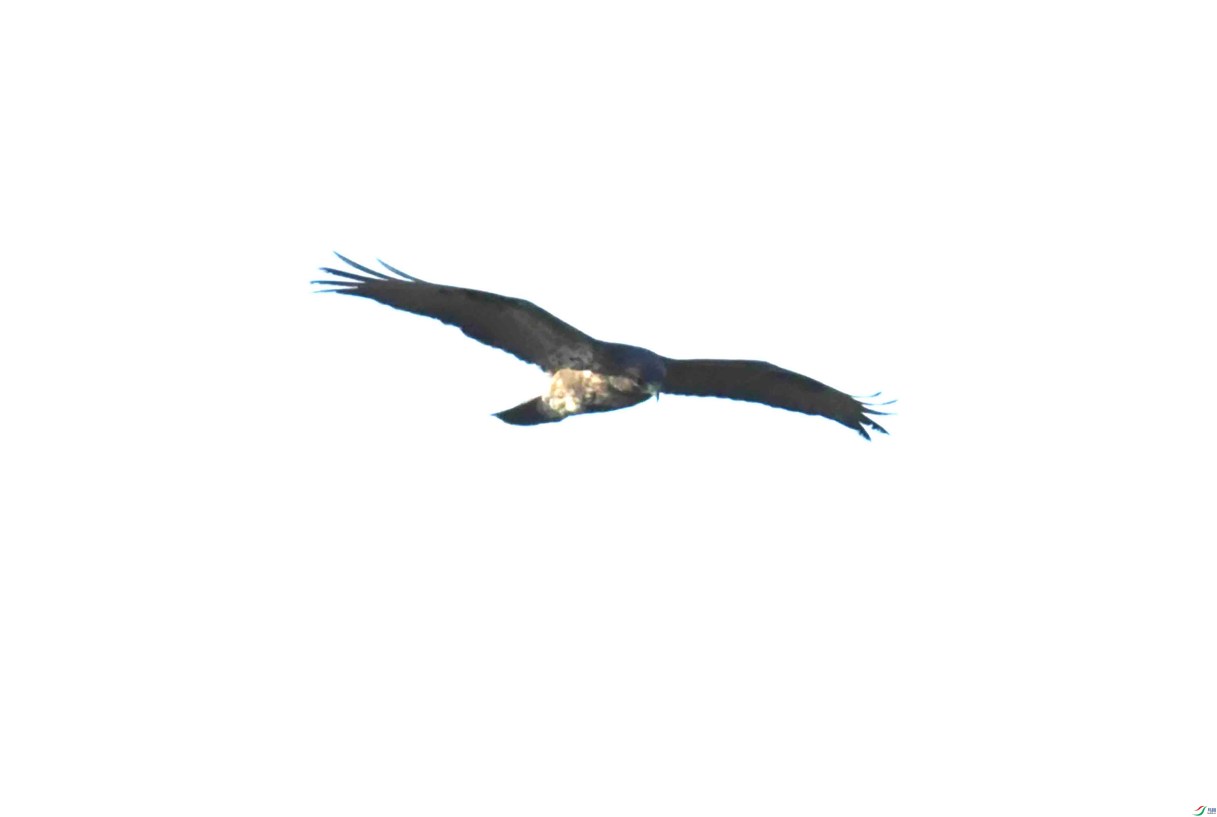 DSC_1097.JPG