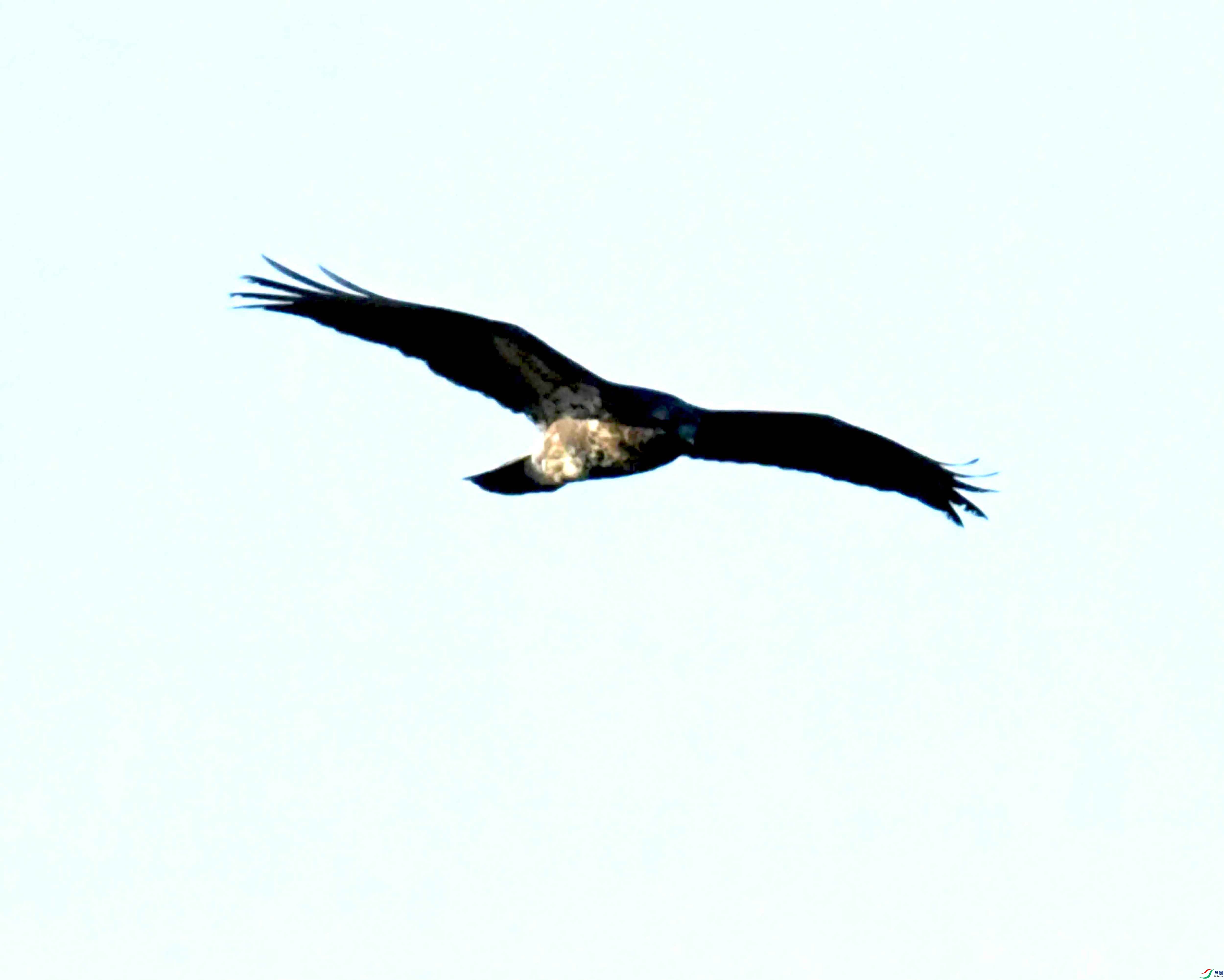 DSC_1098.JPG