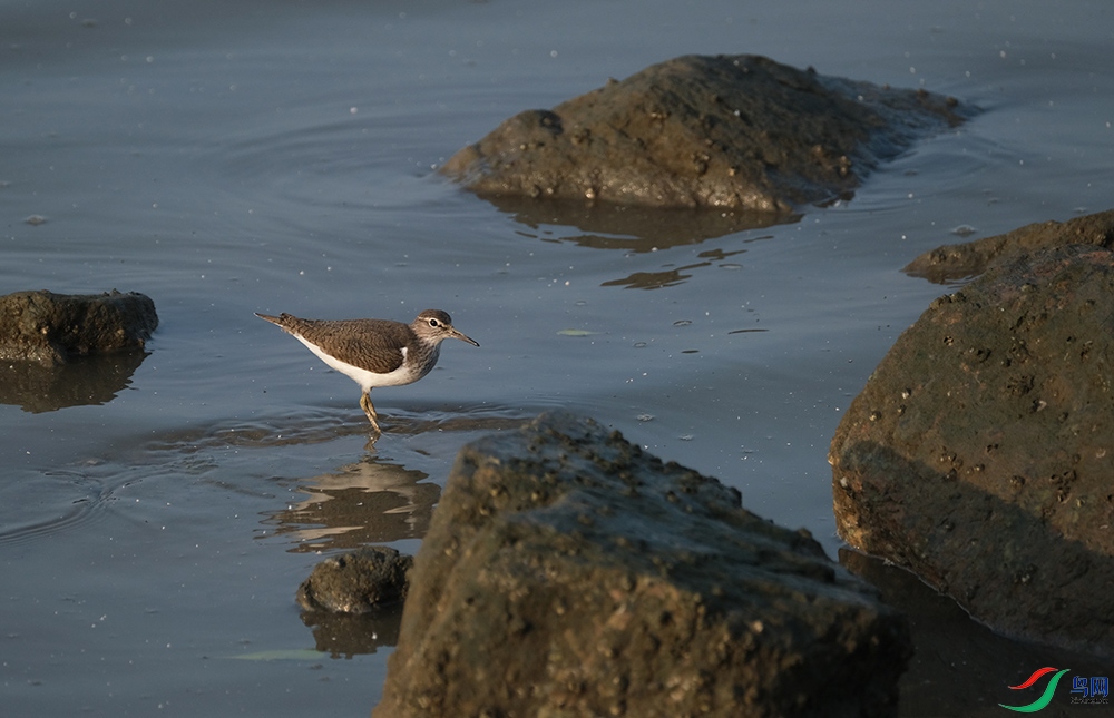DSCF6848.1.jpg