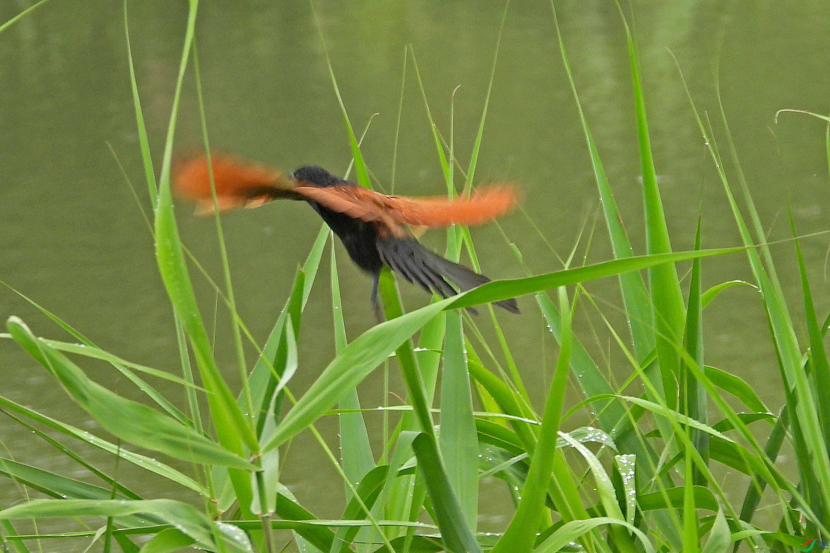 DSCN7244.JPG