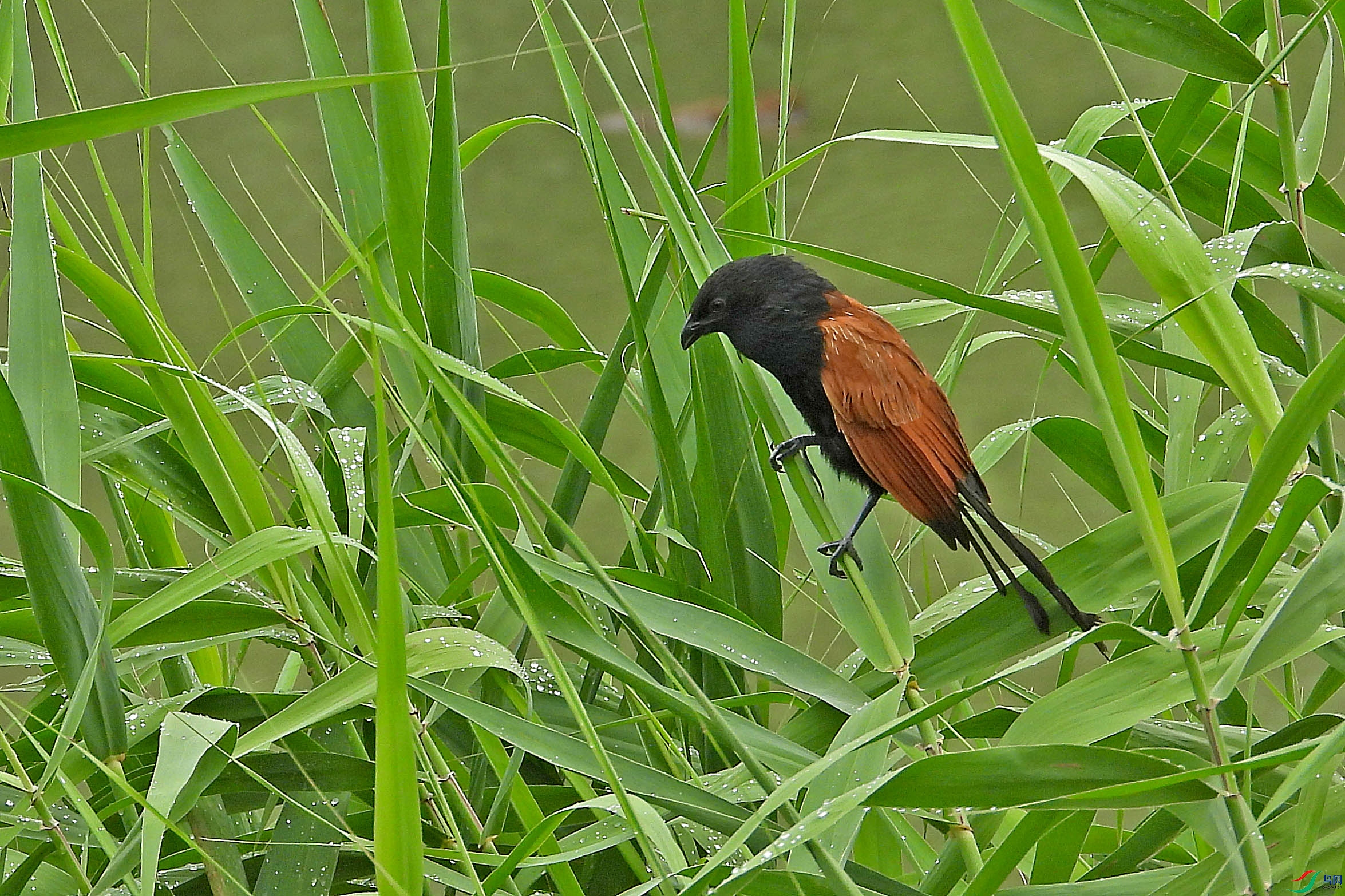 DSCN7238.JPG