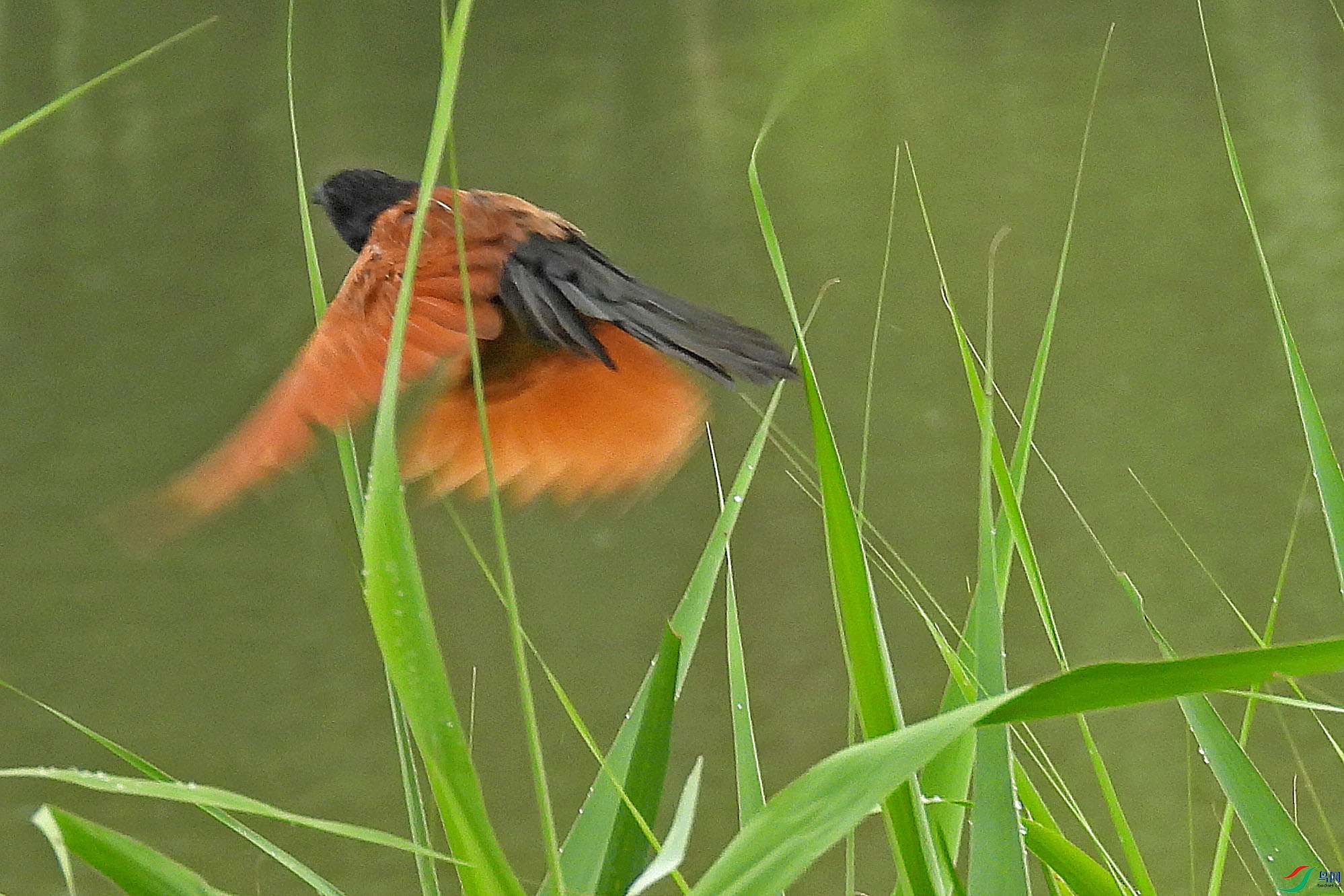 DSCN7245.JPG