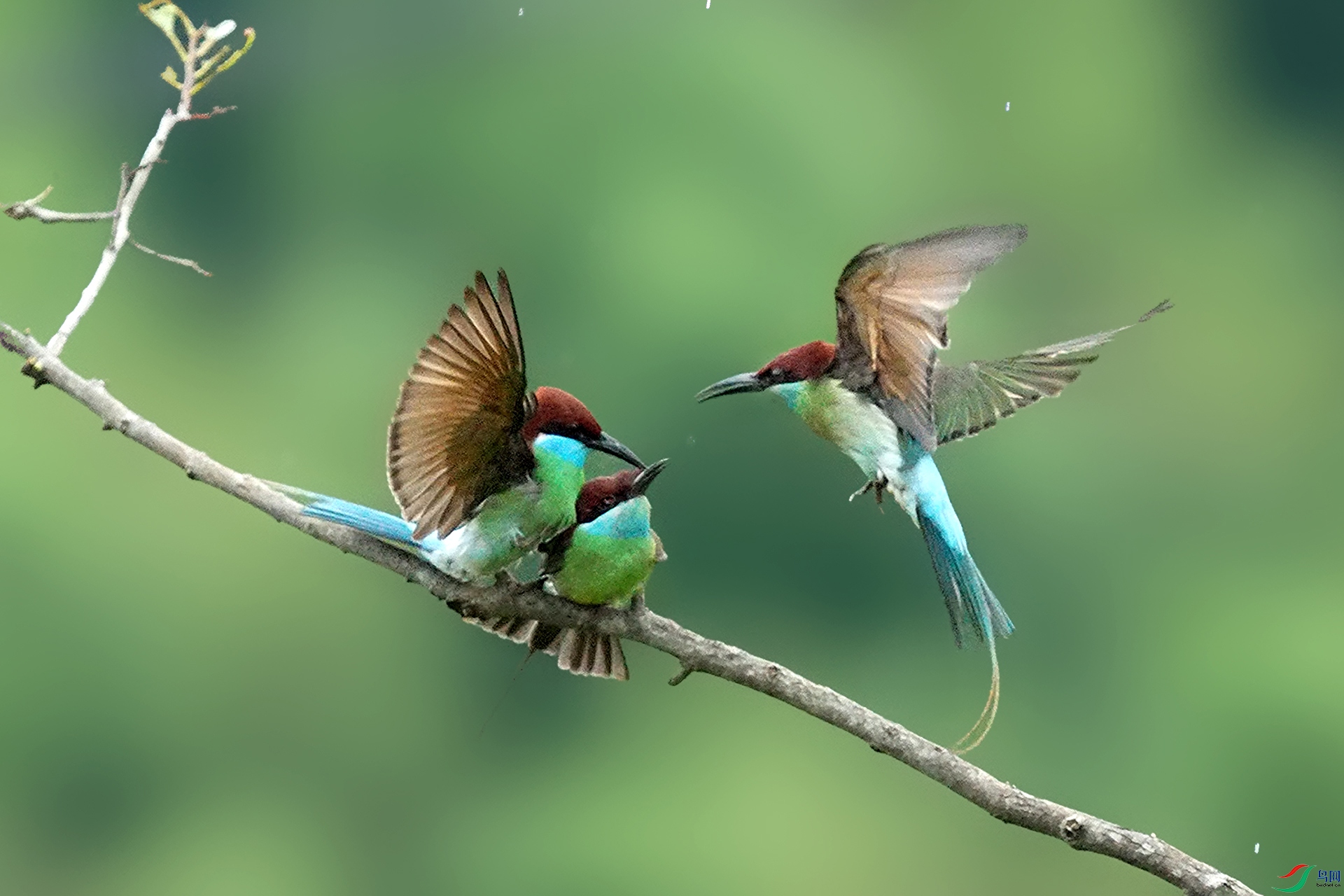 ���ҵ�����[�����廢][C3748].00_00_39_26.Still026a1.jpg