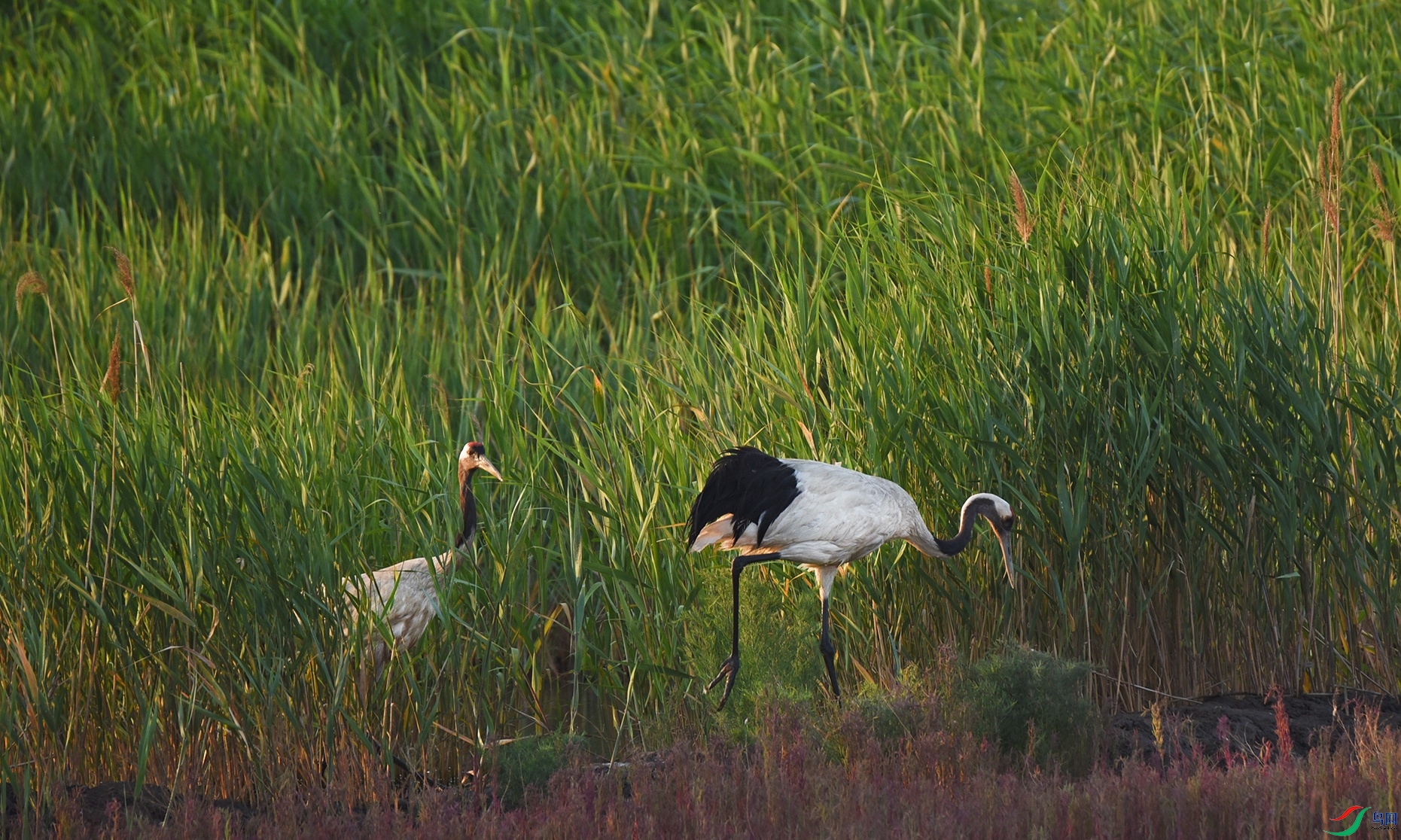 DSC_3474.jpg