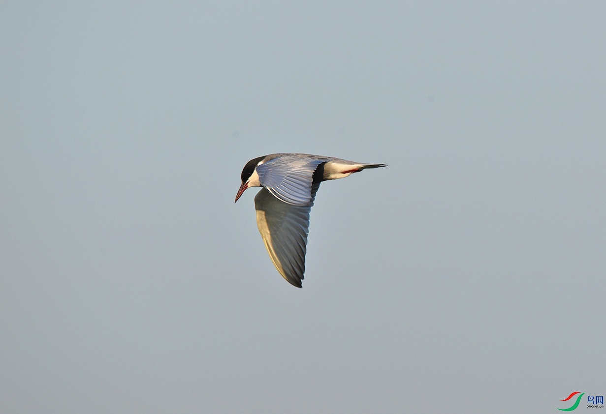 DSC_6398�븡Ÿ.jpg