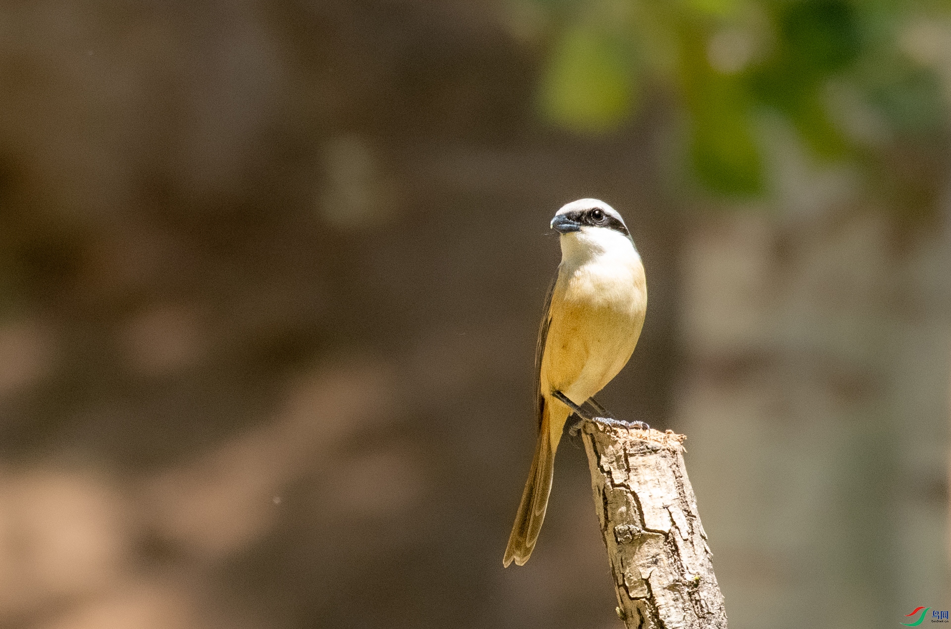 DSC_7675.jpg