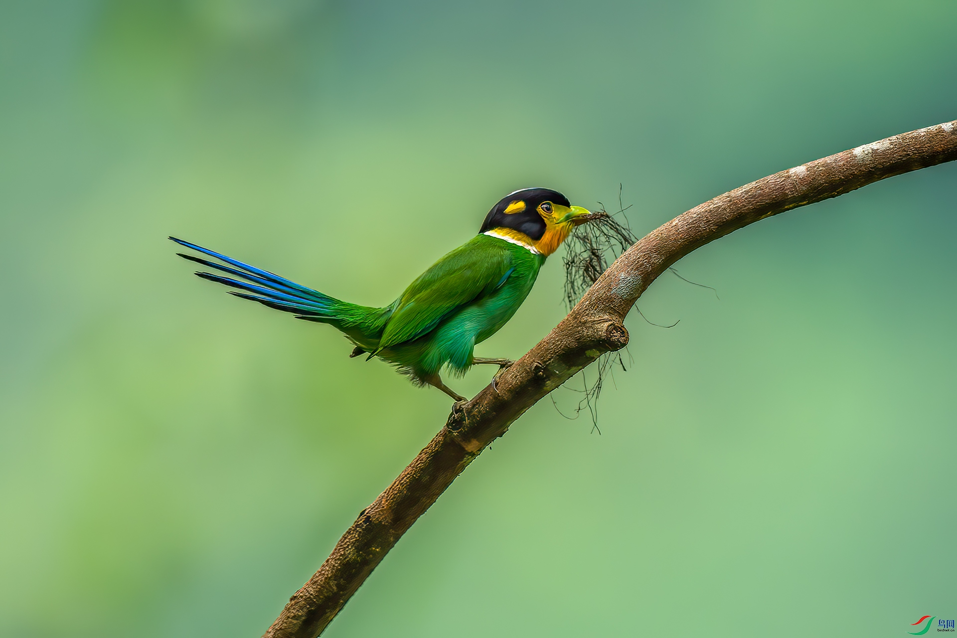 DSC_6662.jpg