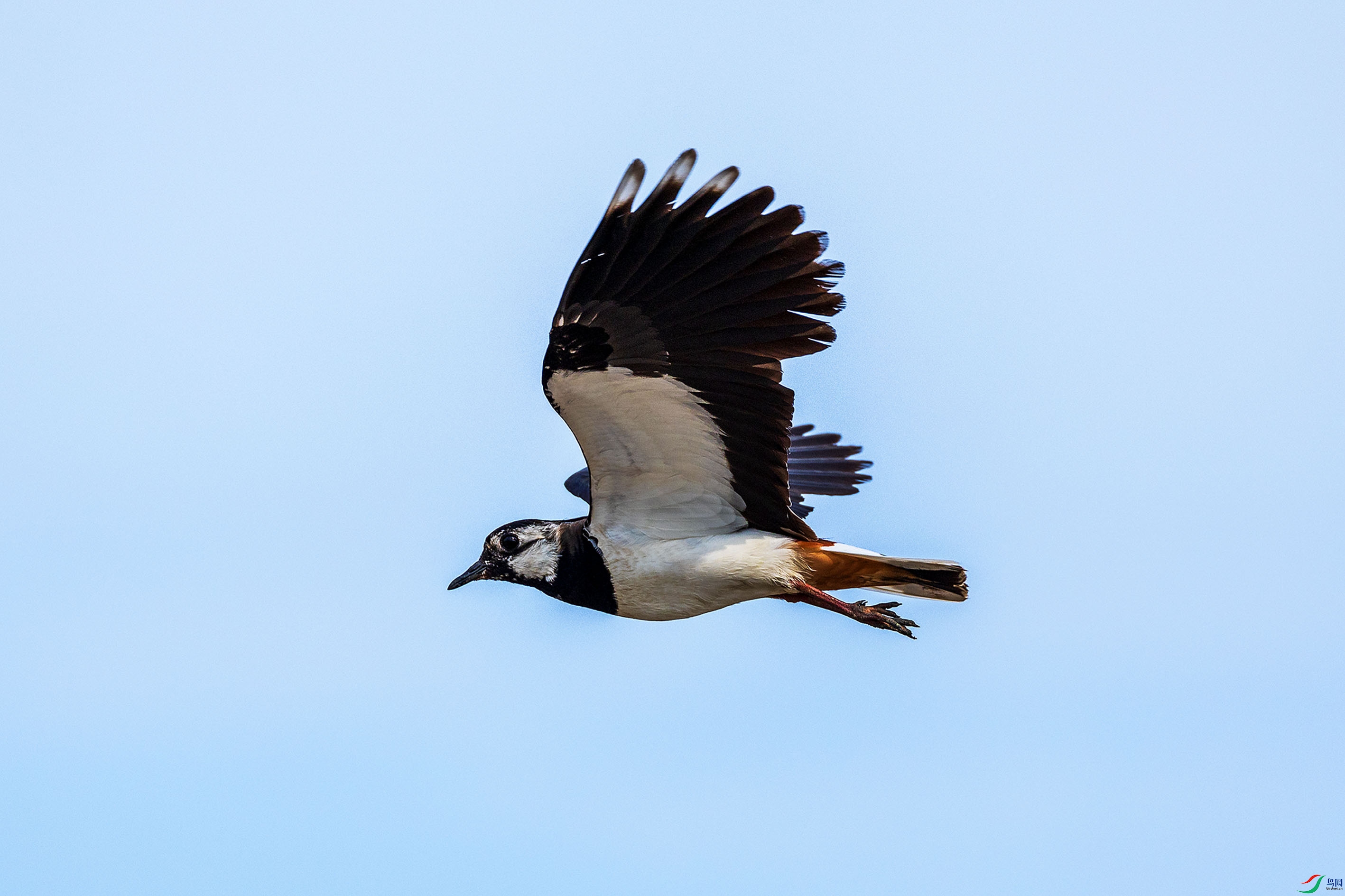 063A9679.jpgb1.jpg