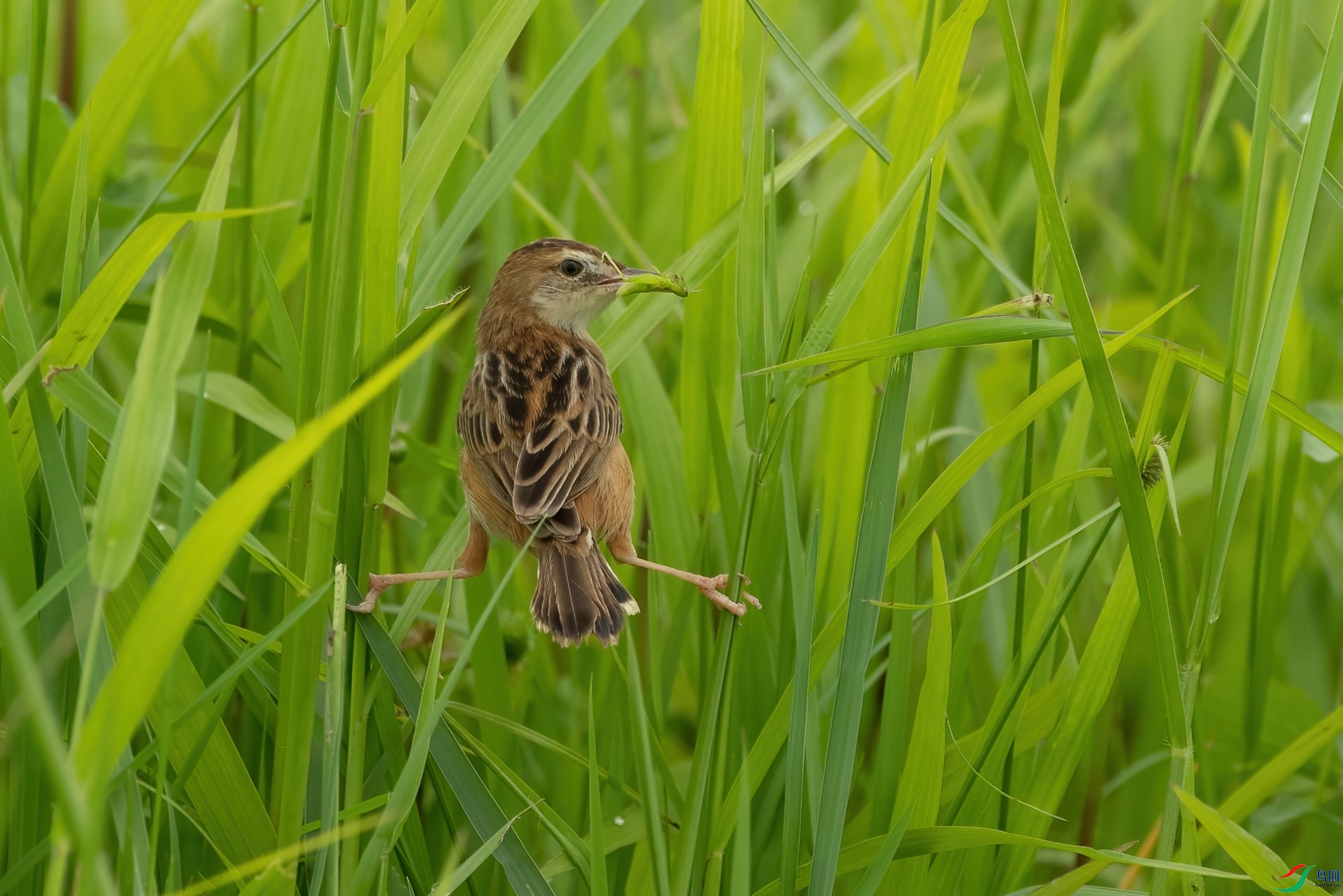 B86I8111 _����.jpg