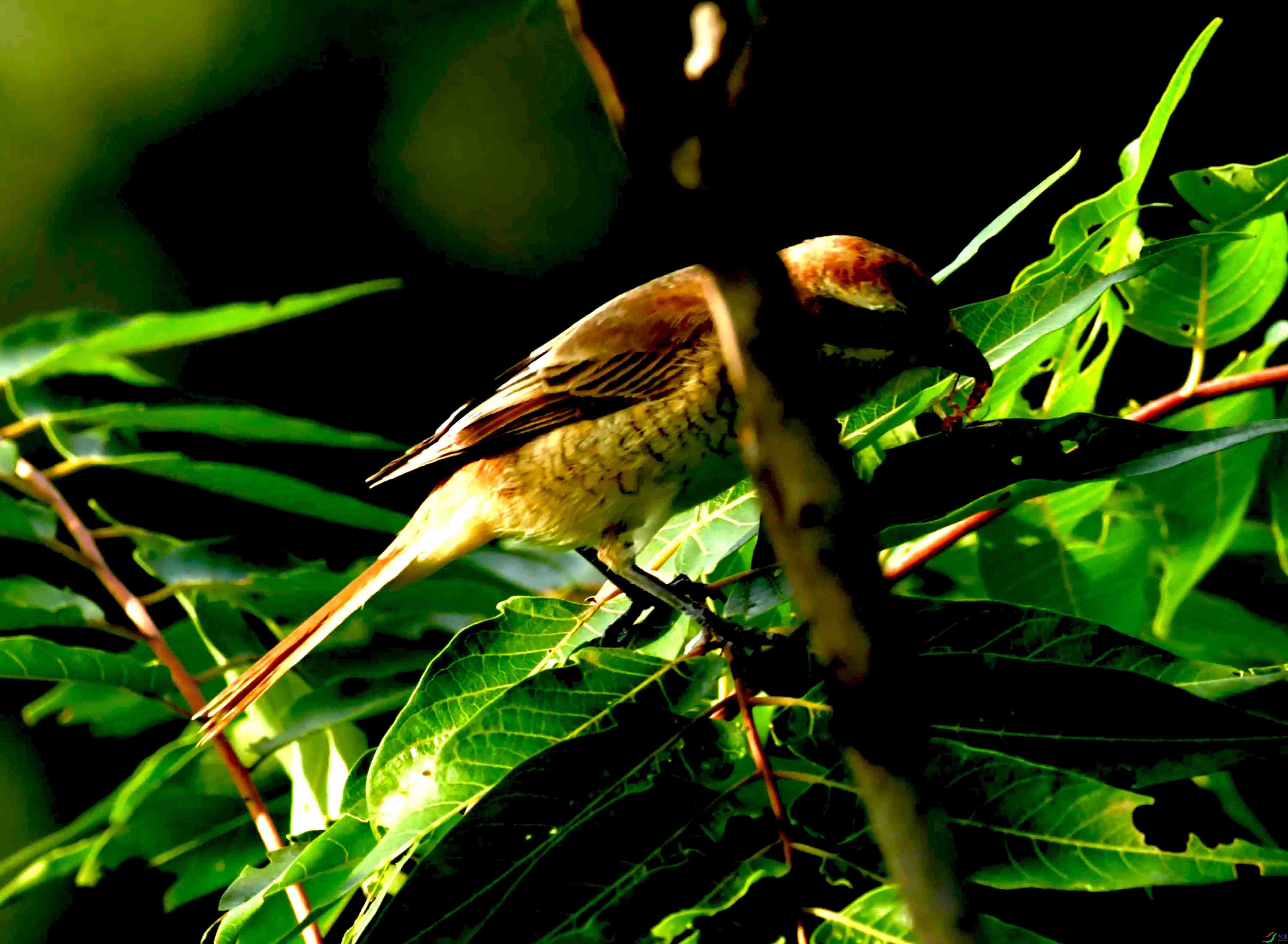 DSC_5598.JPG