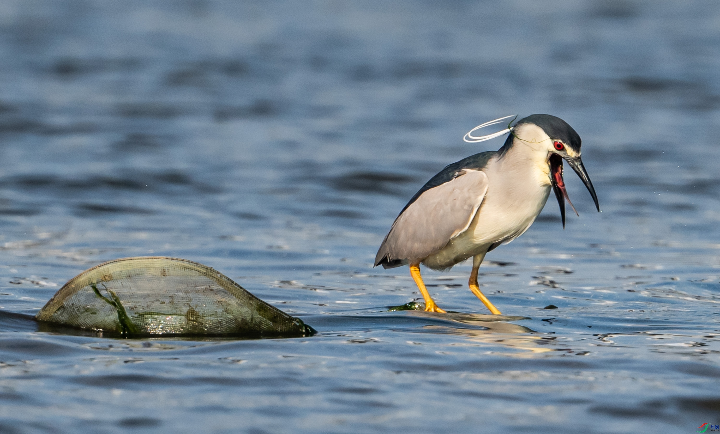 ϸϸ�����߲������������