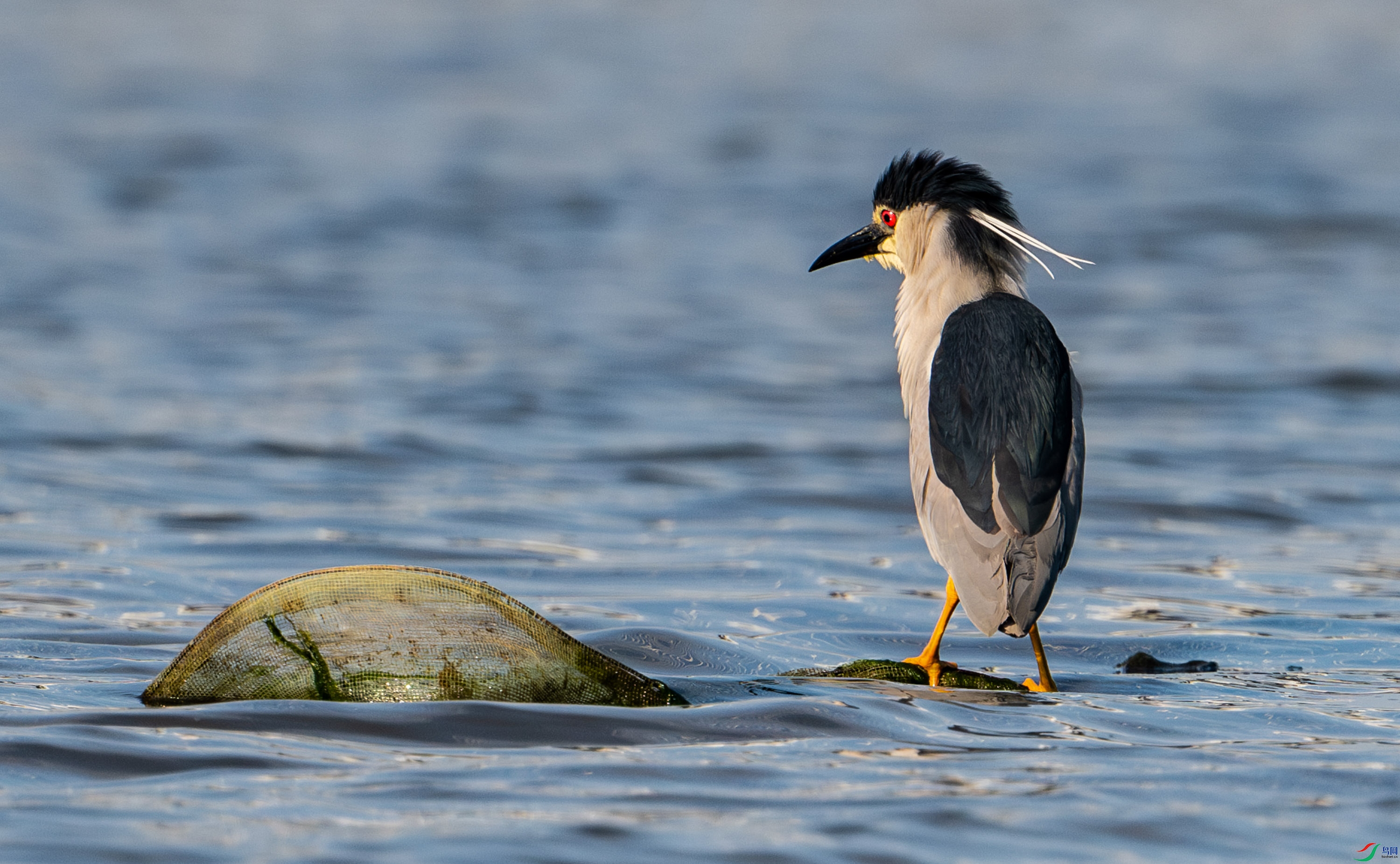 ��һ�����ת��ͷ��ҹ�����Բ��ʣ��������ζ���ŭ�ı���