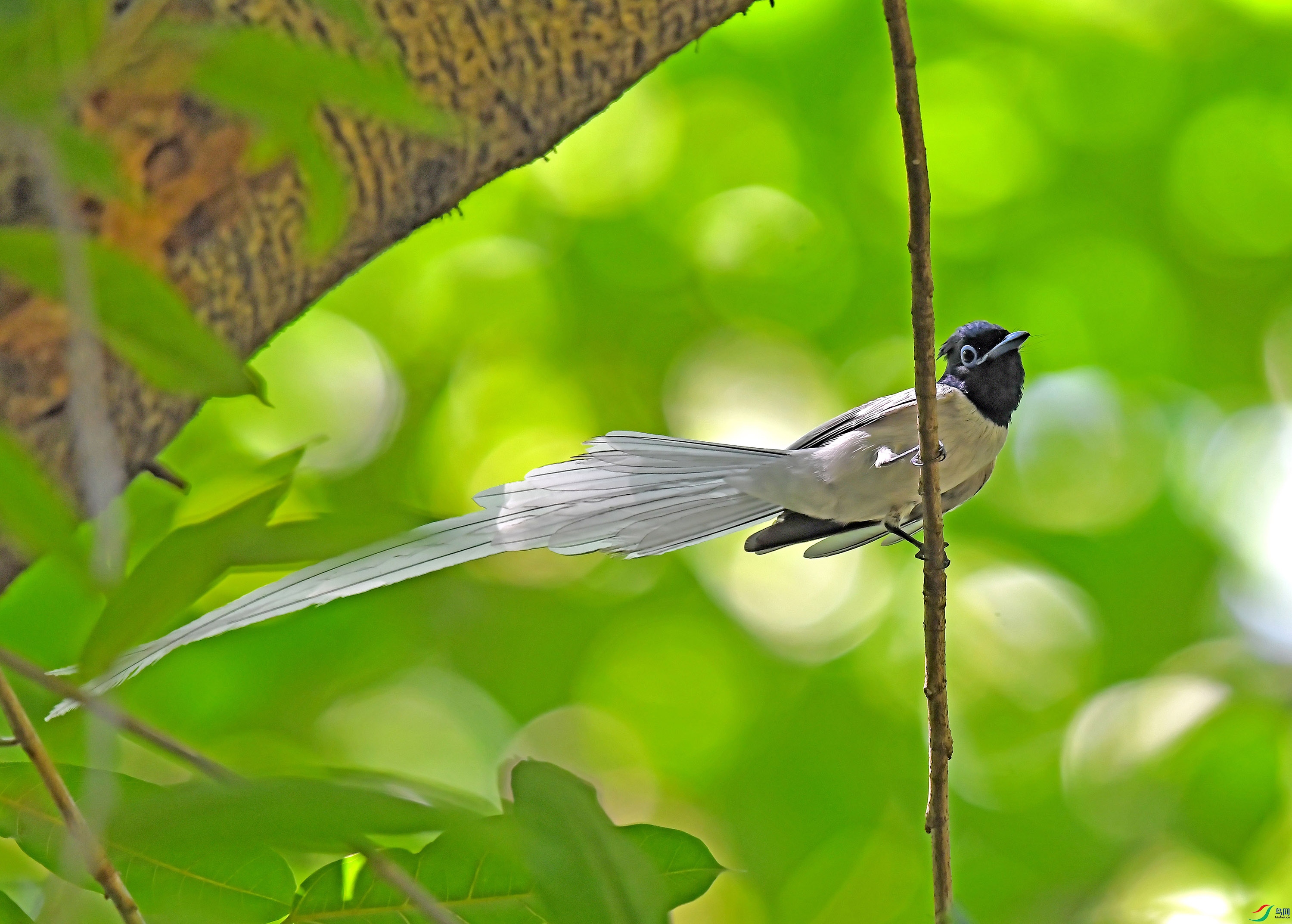 DSC_1314.JPG
